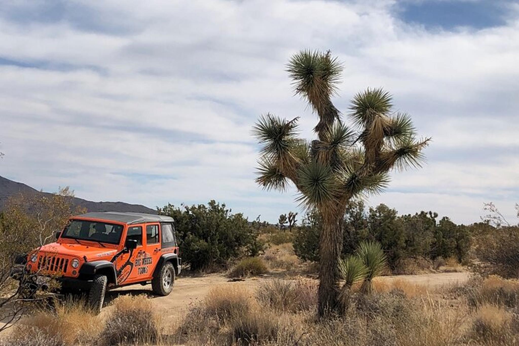 Joshua Tree National Park Offroad Tour - Image 5