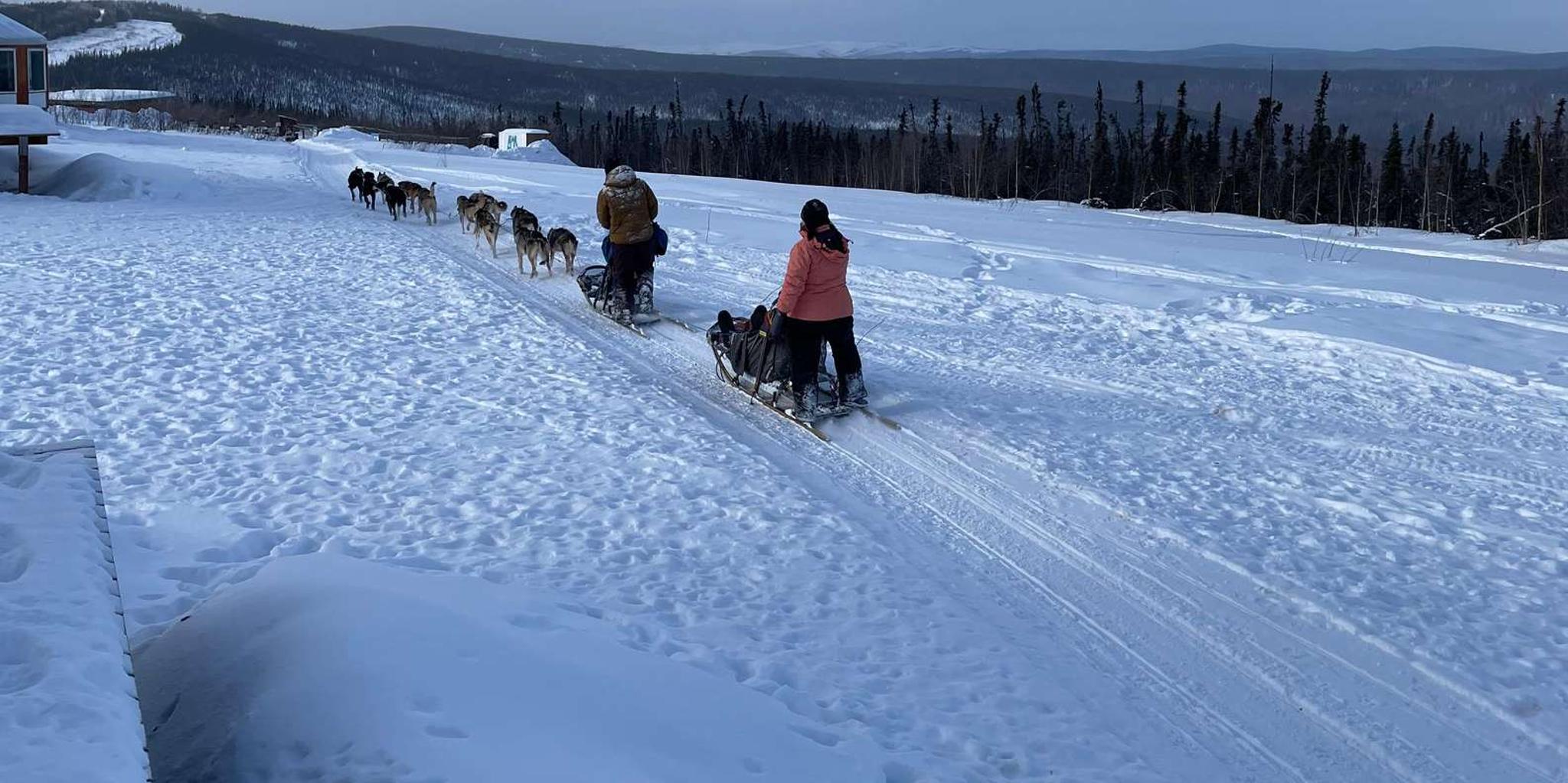 Fairbanks Dog Mushing School 2 hr - Image 2