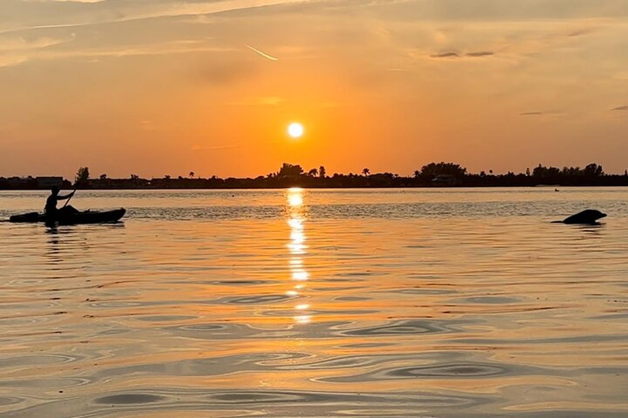 Anna Maria Island Kayaking with Dolphins at Sunset 2 hr - Image 6