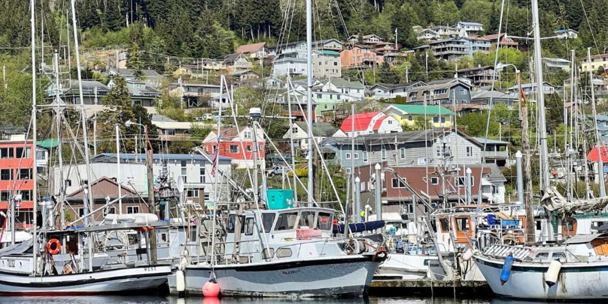 Ketchikan Rainforest Tour - Image 6