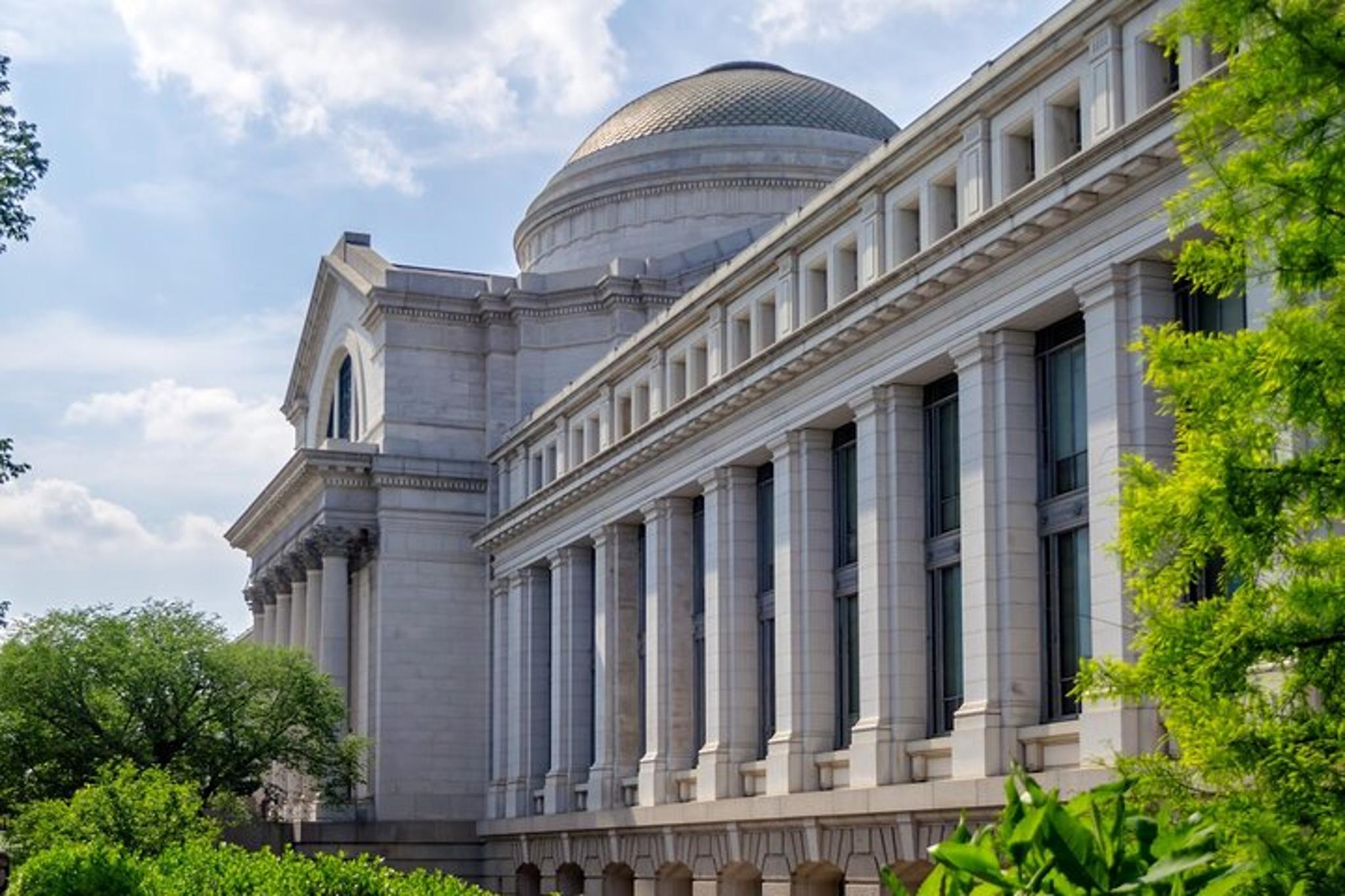 Washington DC Smithsonian Natural History Private Tour - Image 5