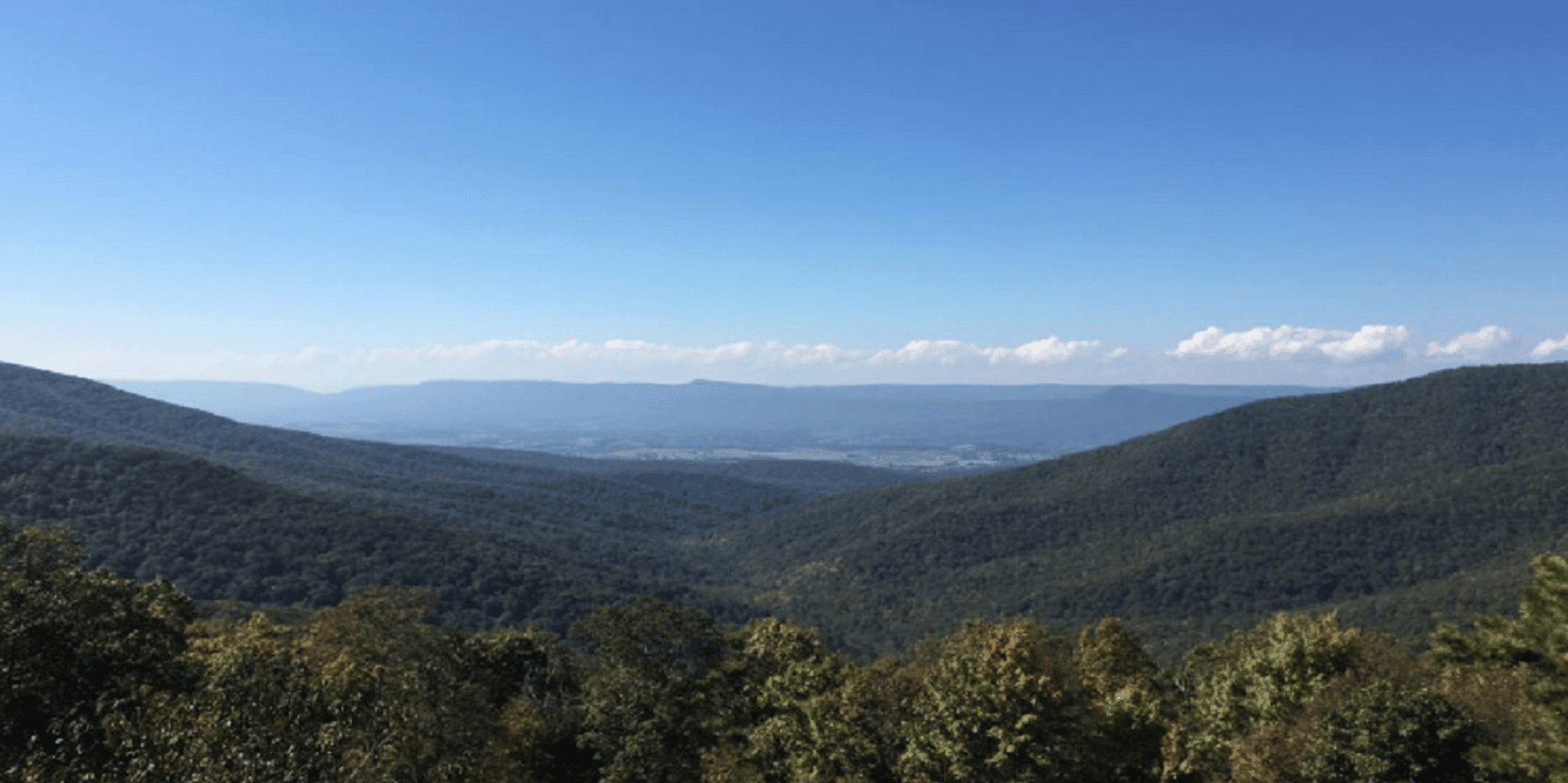 Washington D.C. Shenandoah and Luray Caverns Tour - Image 4