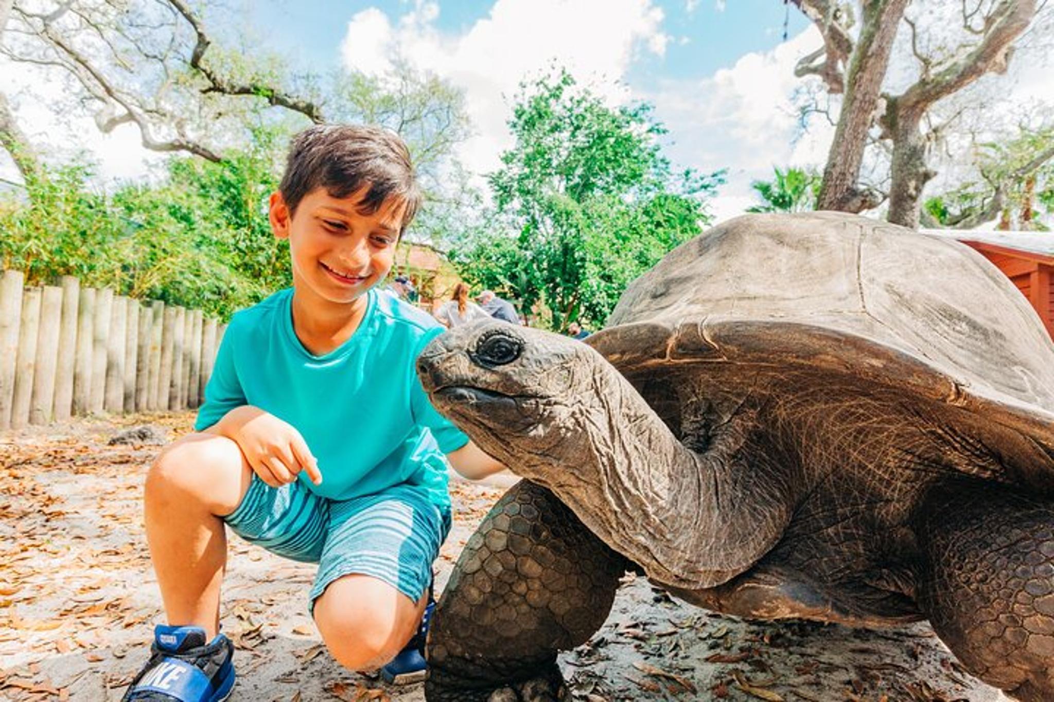 Tampa Zoo and Aquarium Admission - Image 2