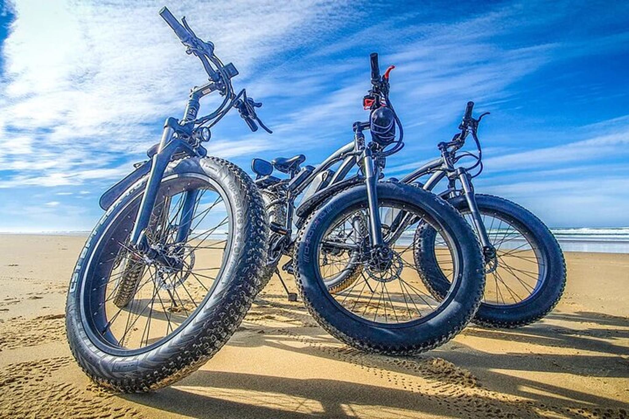 Sarasota E-Bike Rental Adventure - Image 6