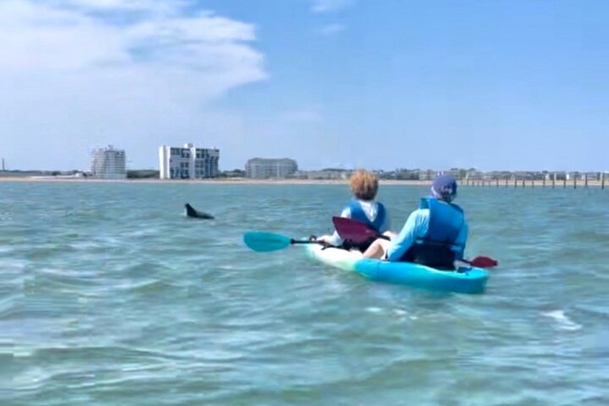 Virginia Beach Dolphin Kayak Tour - Image 4