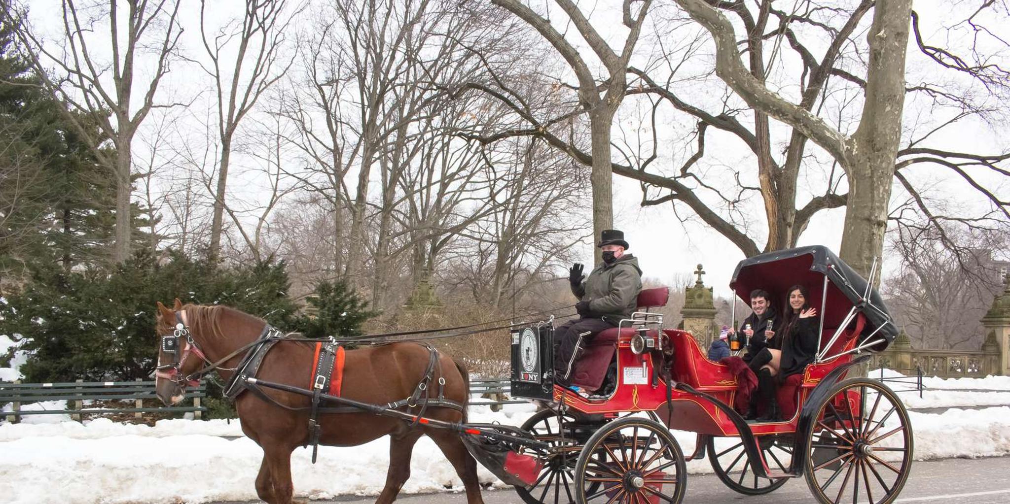 New York City Horse Carriage Ride in Central Park - Image 2