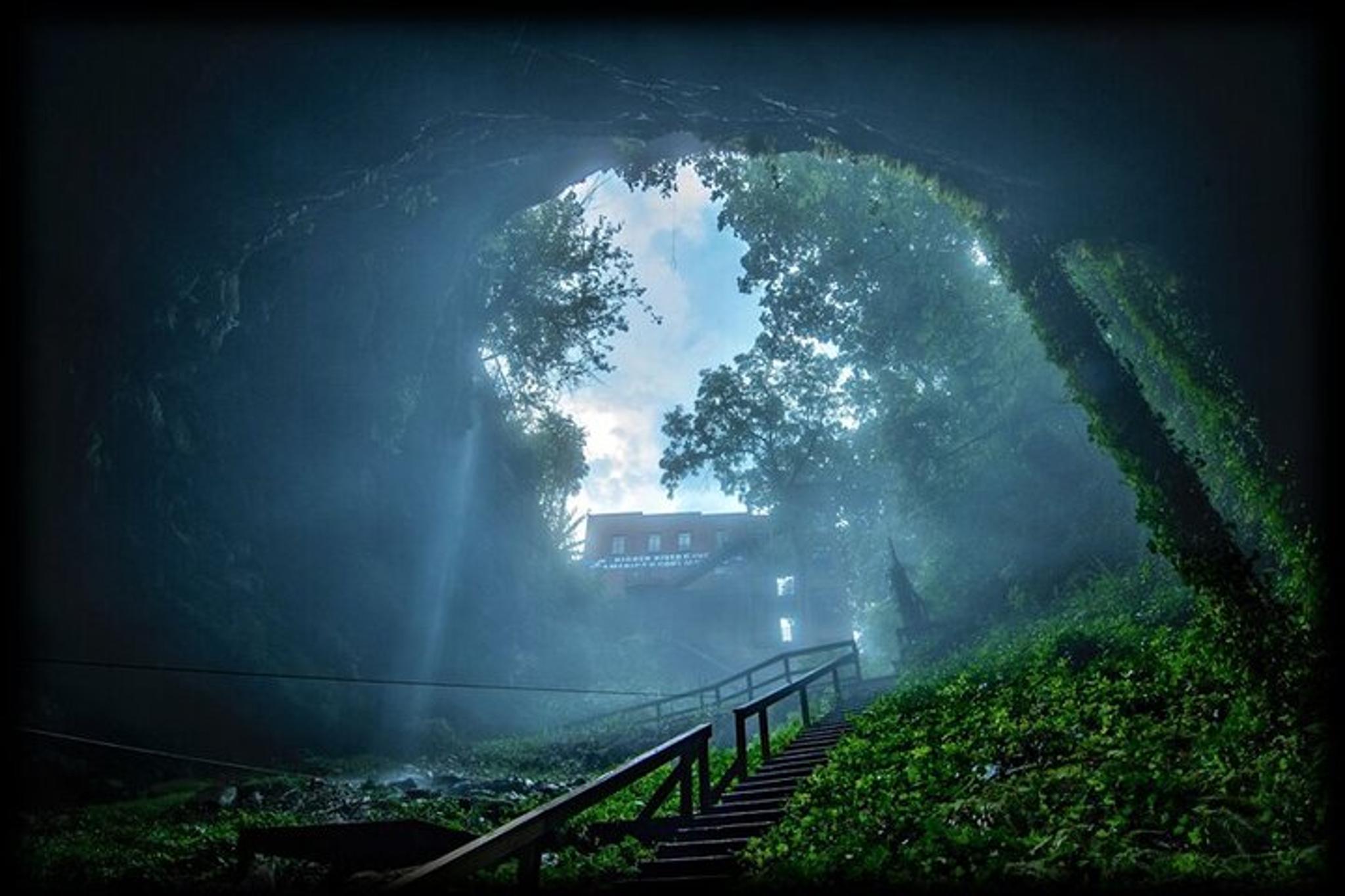 Nashville Kentucky Caves and Kangaroos Day Tour - Image 1