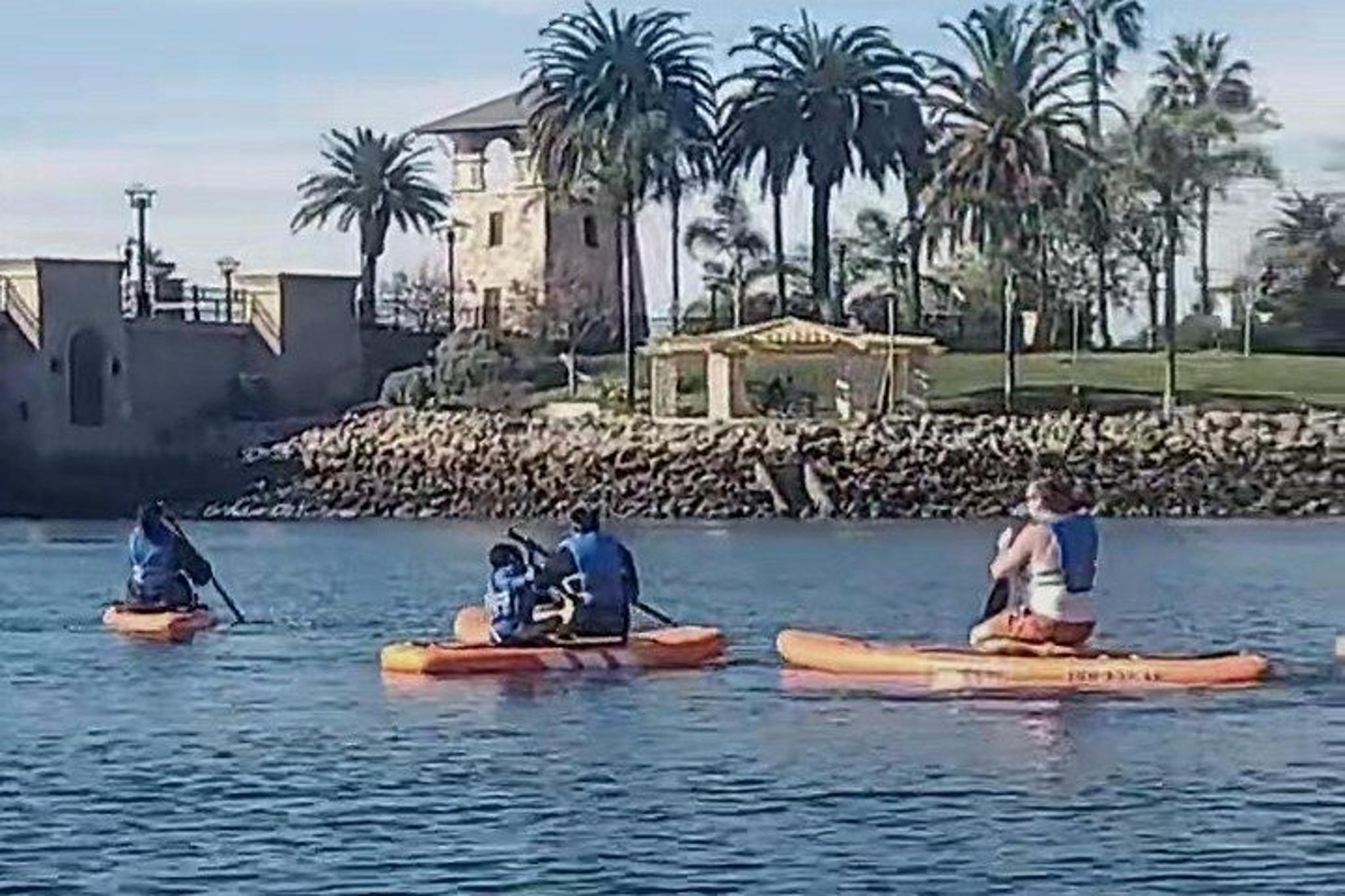 Fayette County Paddle Board Adventure - Image 3