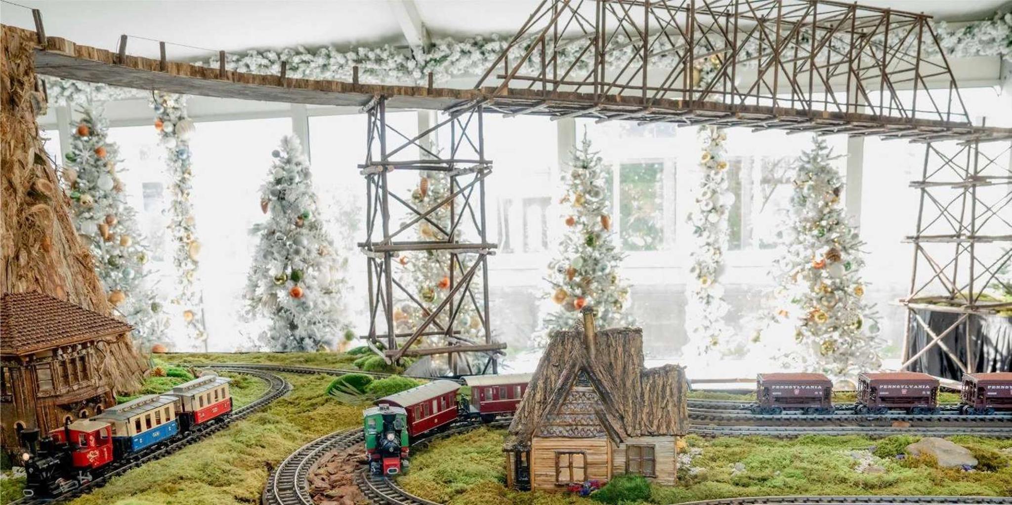 New York Tea Bus Tour and Holiday Train Show - Image 5