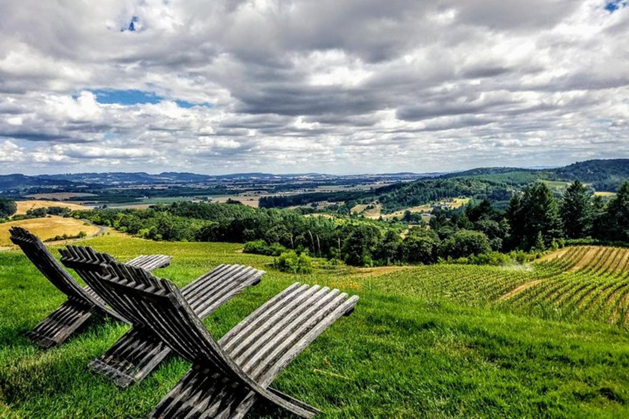 Oregon Wine Tour with Lunch Stop - Image 5