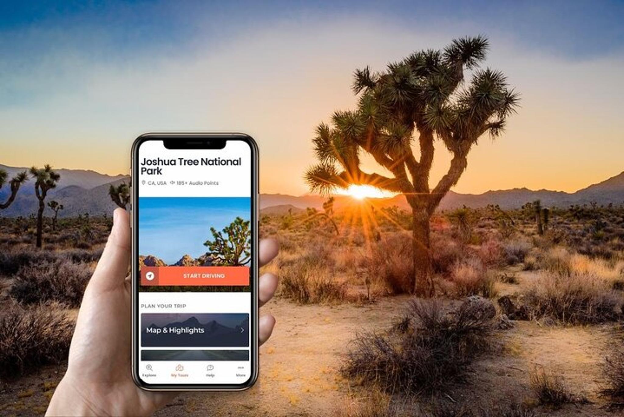 Joshua Tree National Park Self-Guided Audio Tour - Image 3
