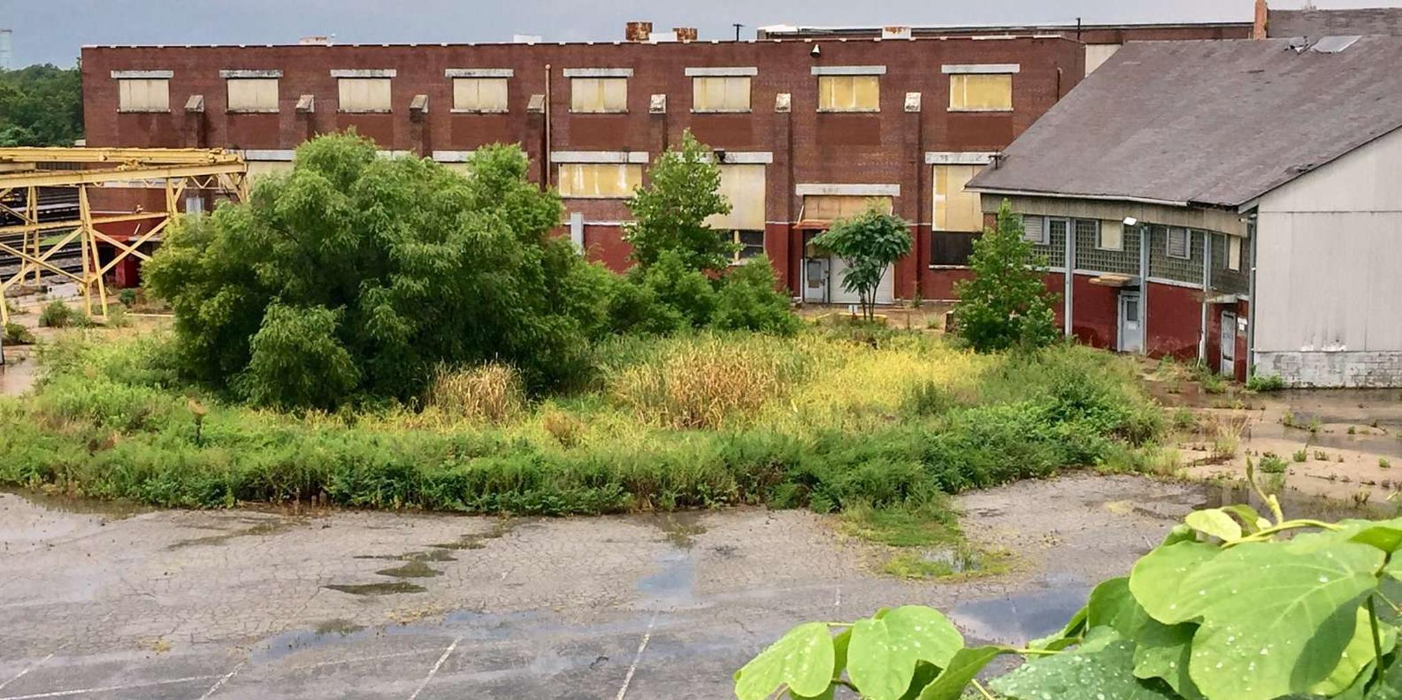 Atlanta Walking Dead Private Tour 7 hr - Image 2