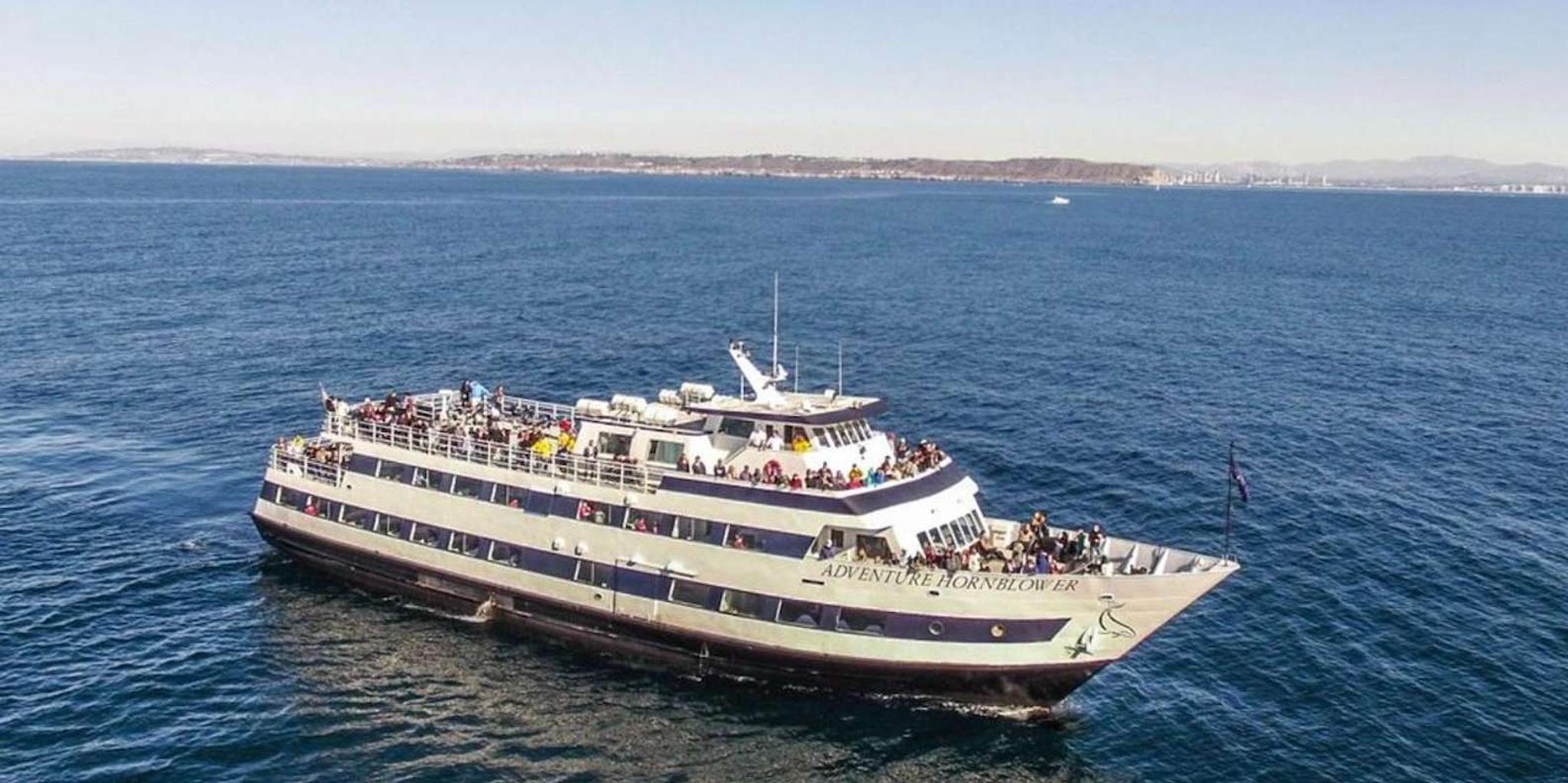 San Diego Whale and Dolphin Watching Cruise - Image 2
