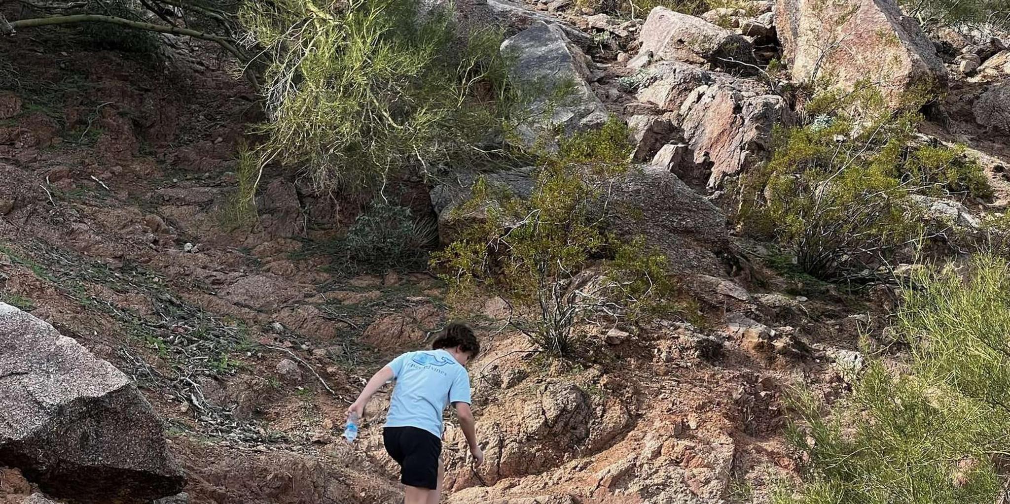 Phoenix Sonoran Desert Family Hike - Image 6