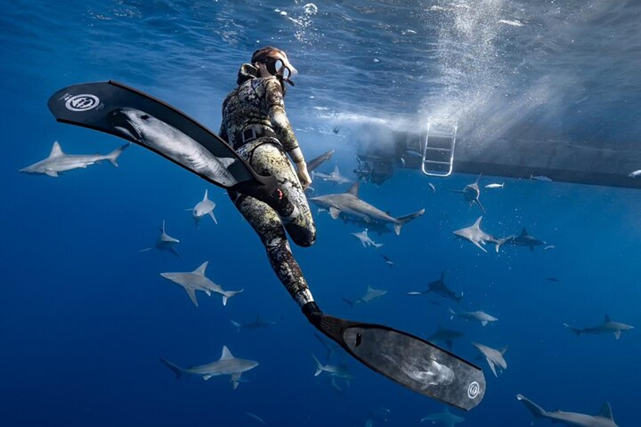 Haleiwa Ocean Adventure Dive - Image 2