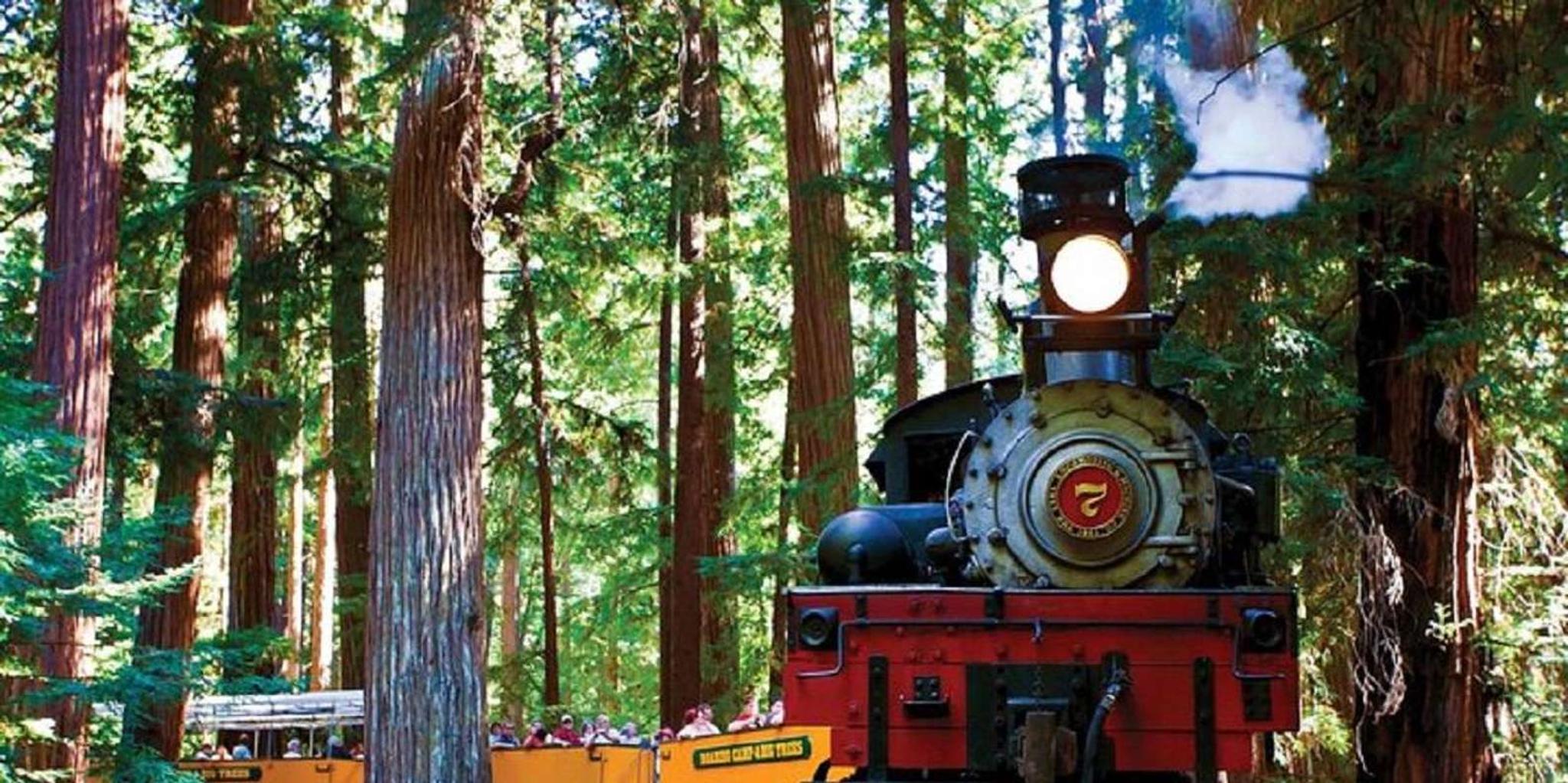 San Francisco Redwood Forest & Santa Cruz Day Trip - Image 2