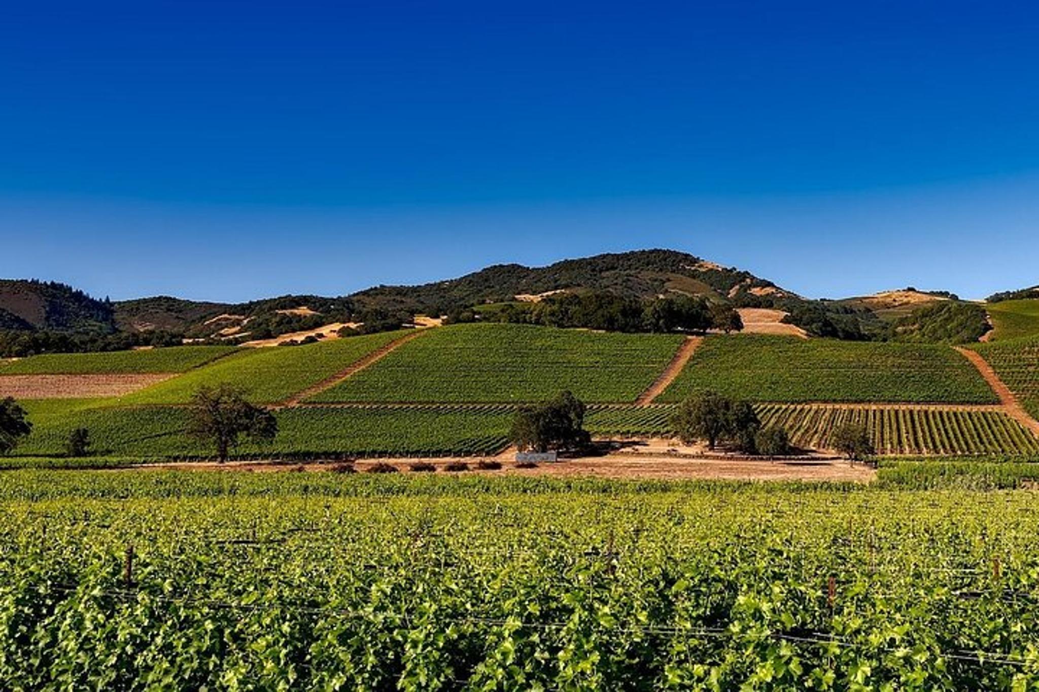 San Francisco Sonoma Napa Valley Chauffeur Transfer