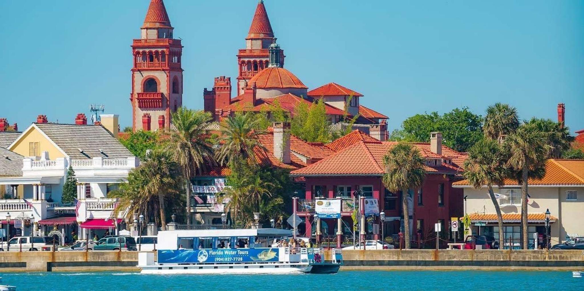 St. Augustine Dolphin & Wildlife Eco Adventure - Image 6