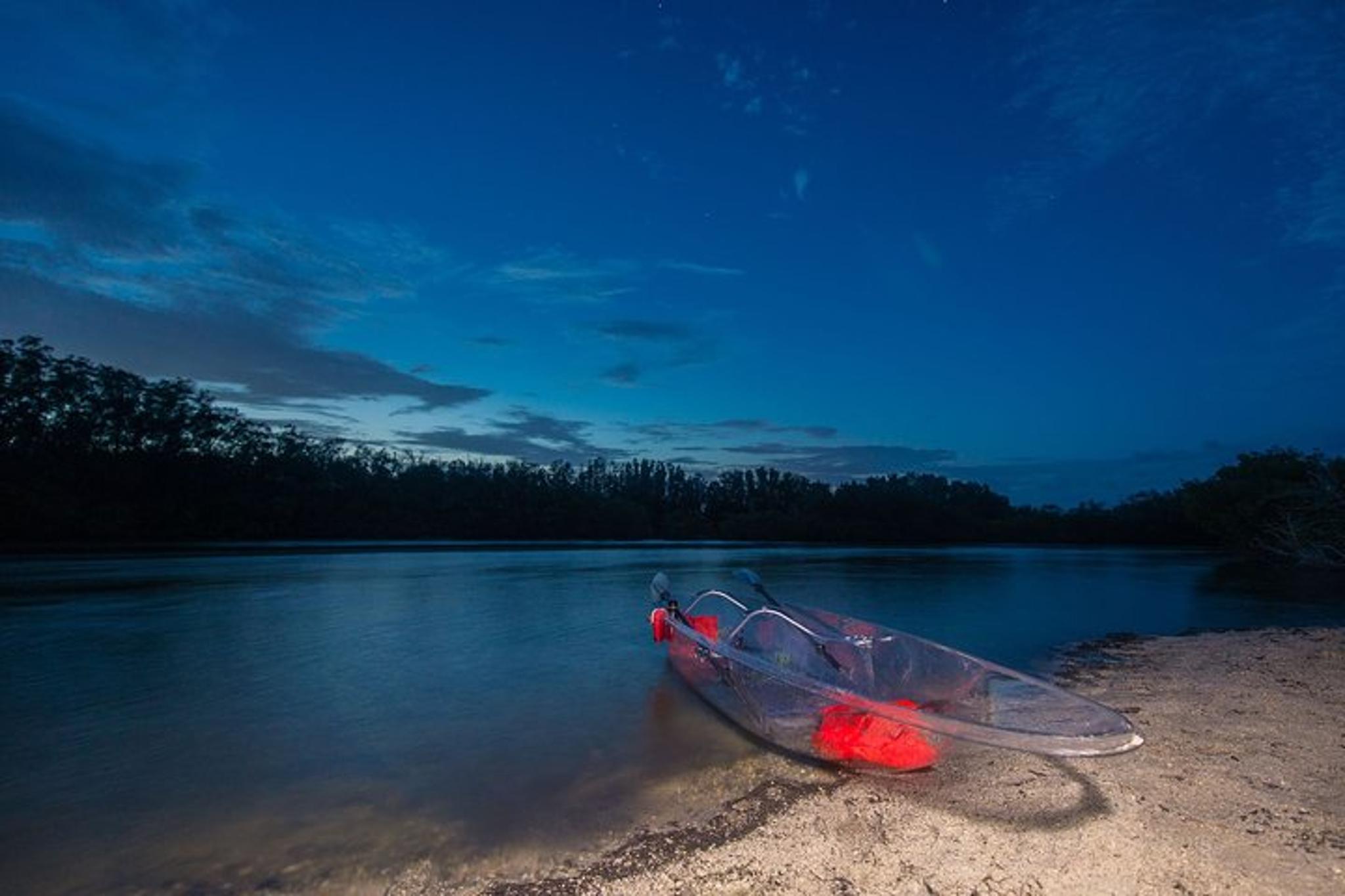 Titusville Bioluminescent Clear Kayak Tour 90 min - Image 4
