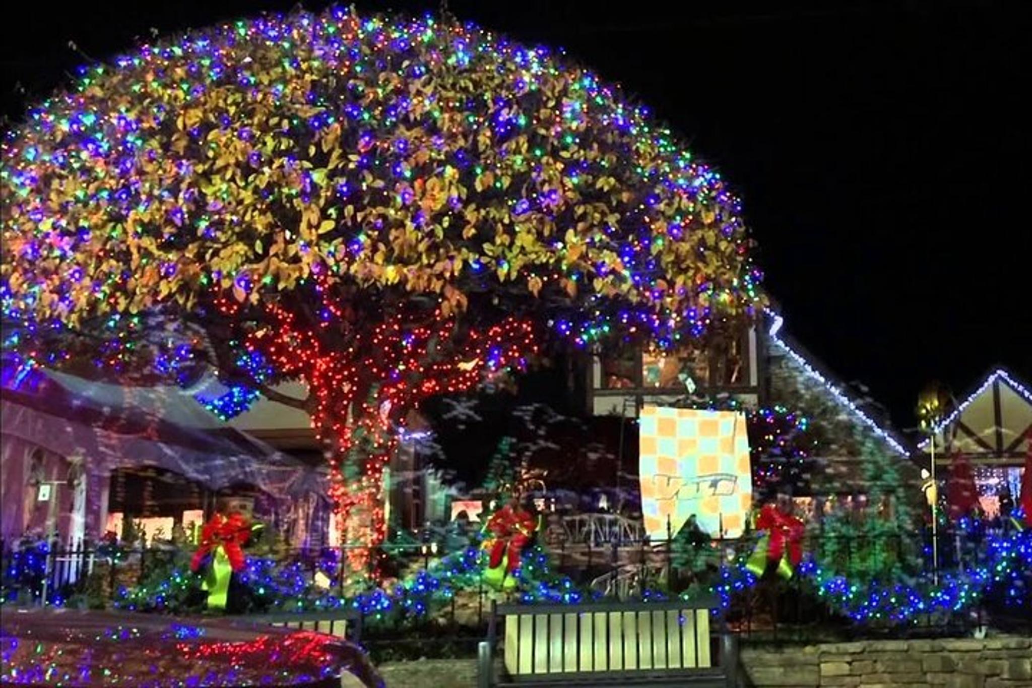Smoky Mountain Holiday Light Tour