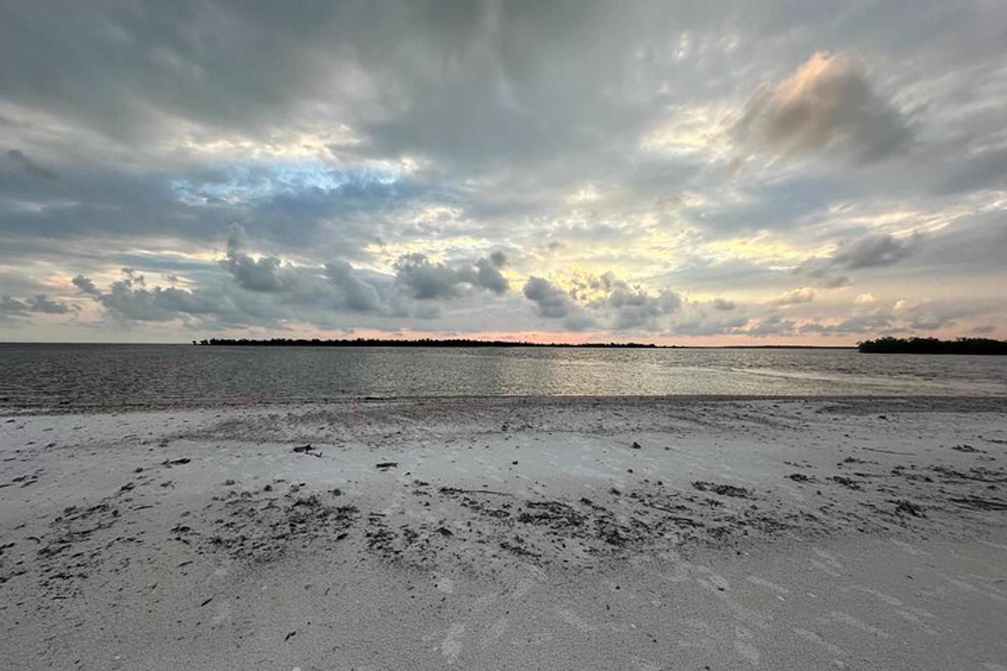 Ten Thousand Islands Beach and Shelling Eco Tour - Image 5