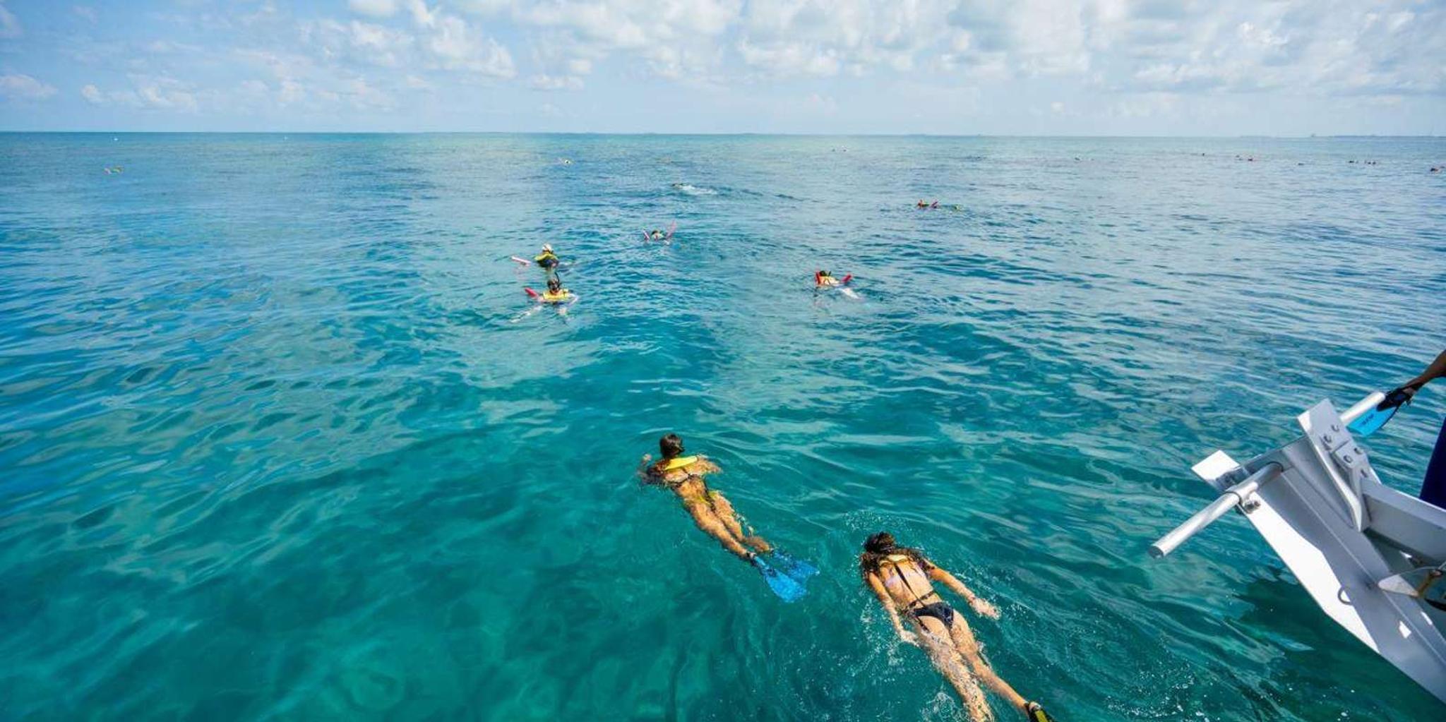 Key West Catamaran Snorkel with Seafood Boil and Open Bar - Image 6