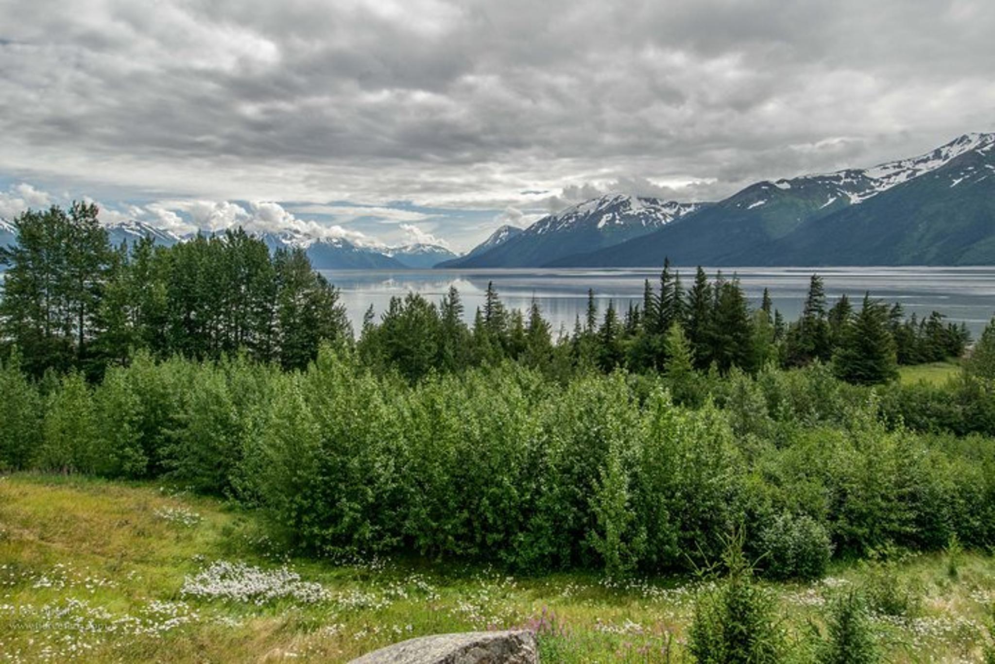 Anchorage Wildlife Day Tour with Hotel Pickup - Image 5