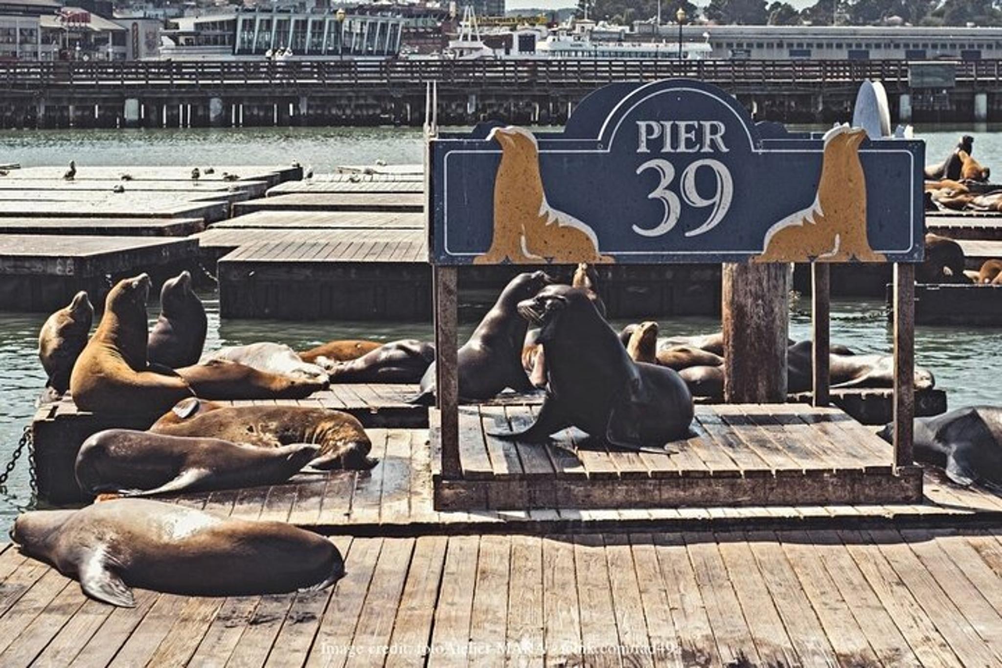 San Francisco Private Walking Tour Half-Day - Image 5