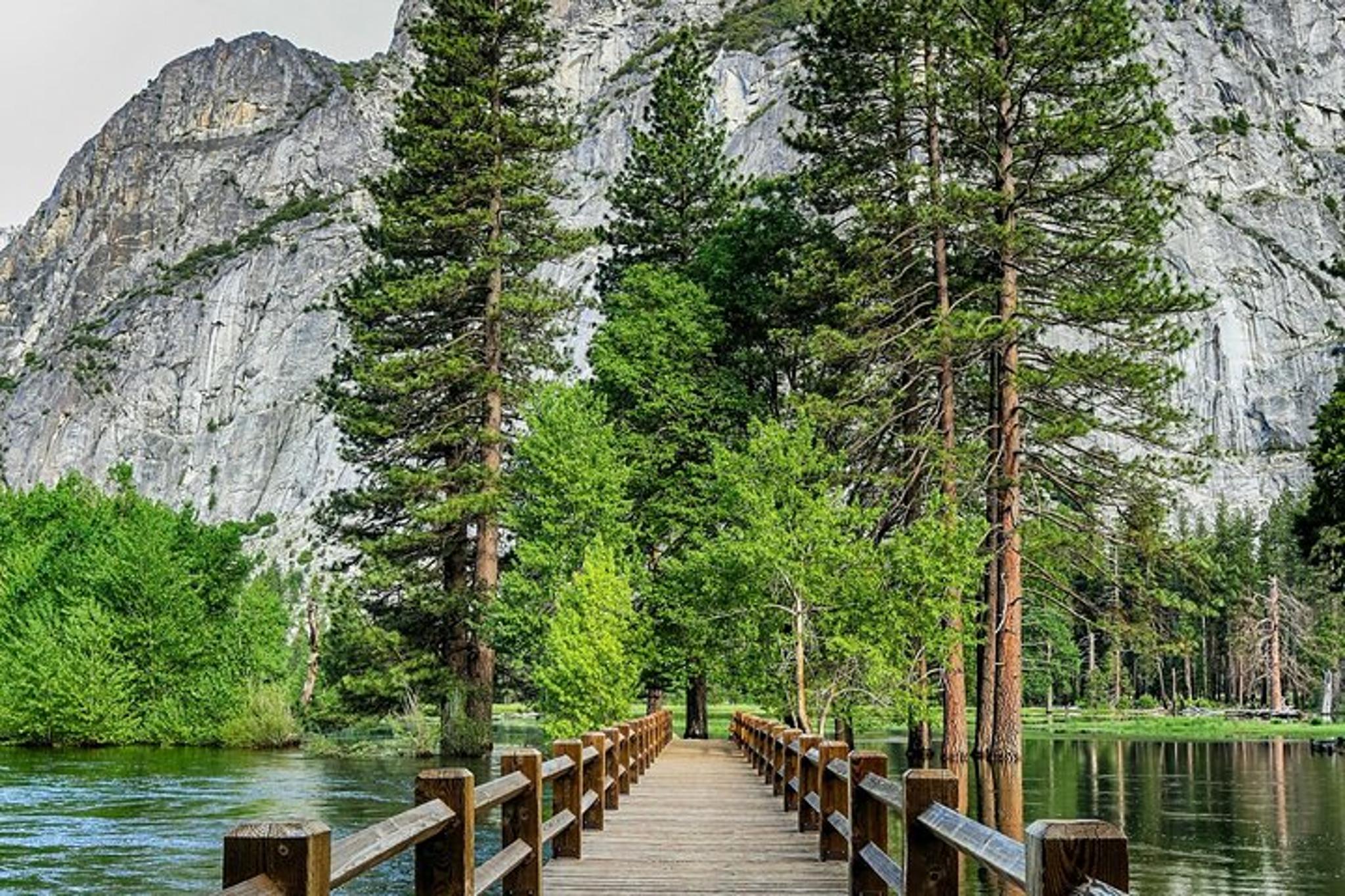 Yosemite Valley and Glacier Point Small Group Tour - Image 2