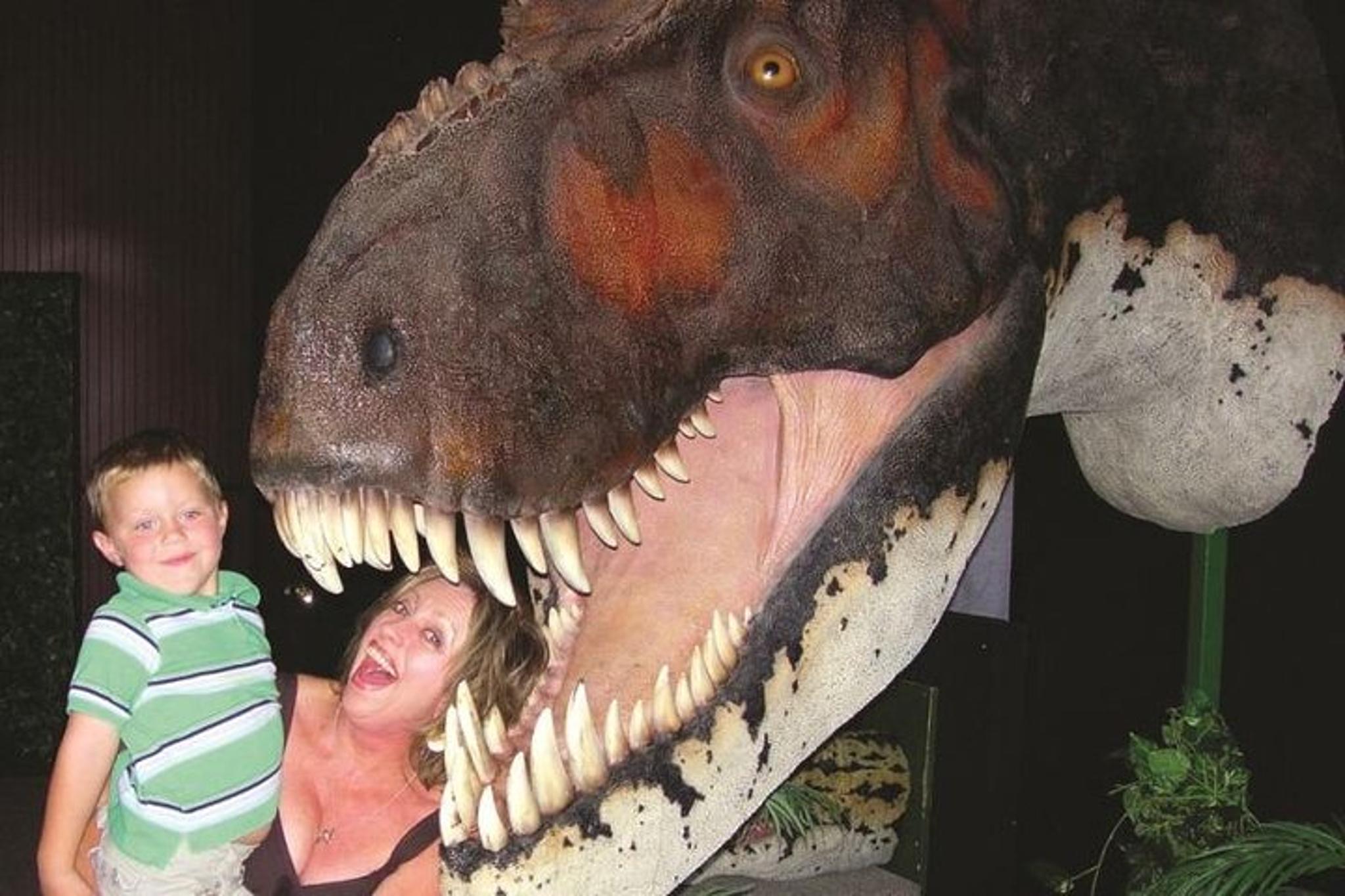 Branson Dinosaur Museum Admission - Image 5