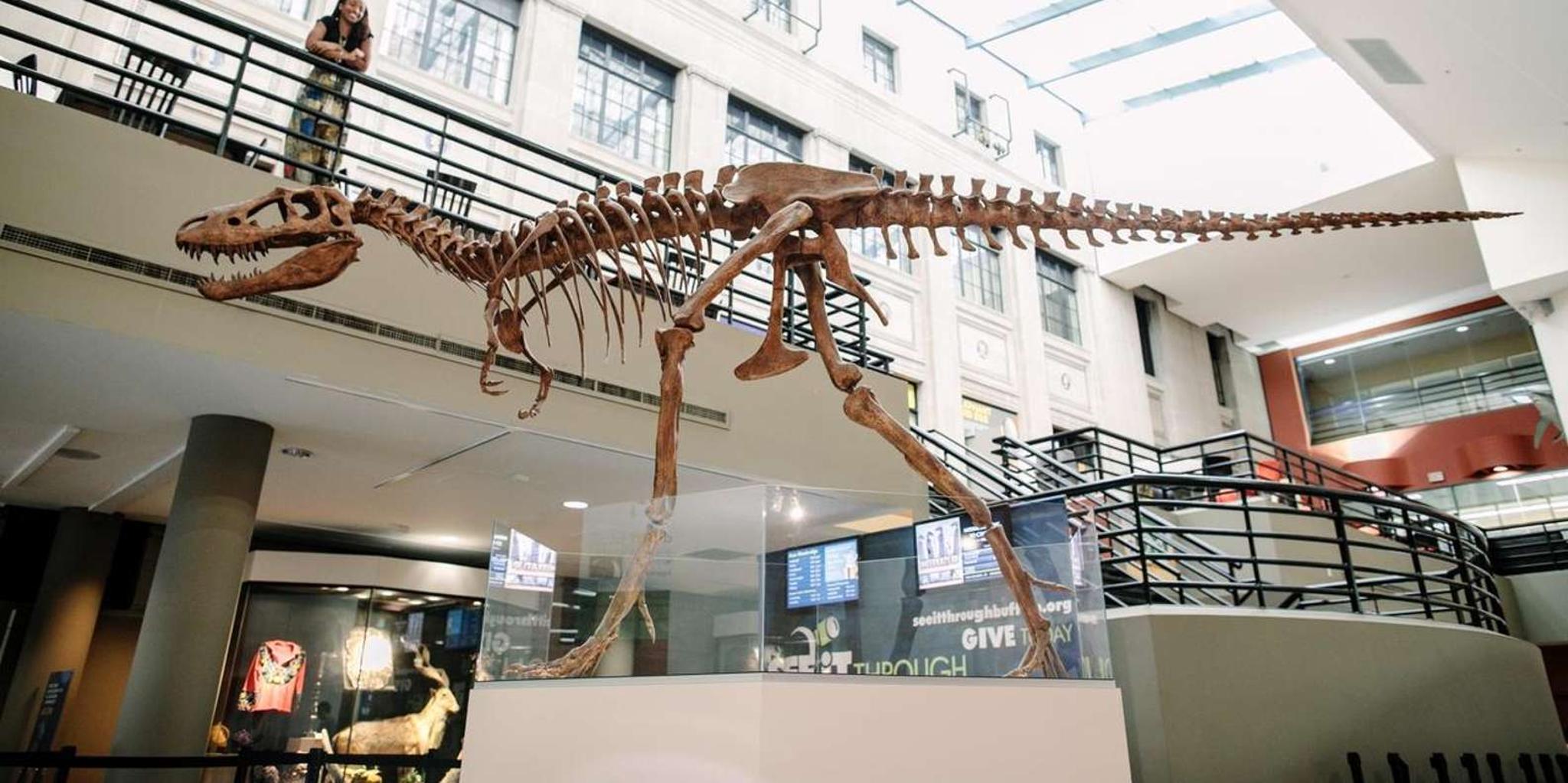 Buffalo Museum of Science Admission Ticket - Image 1