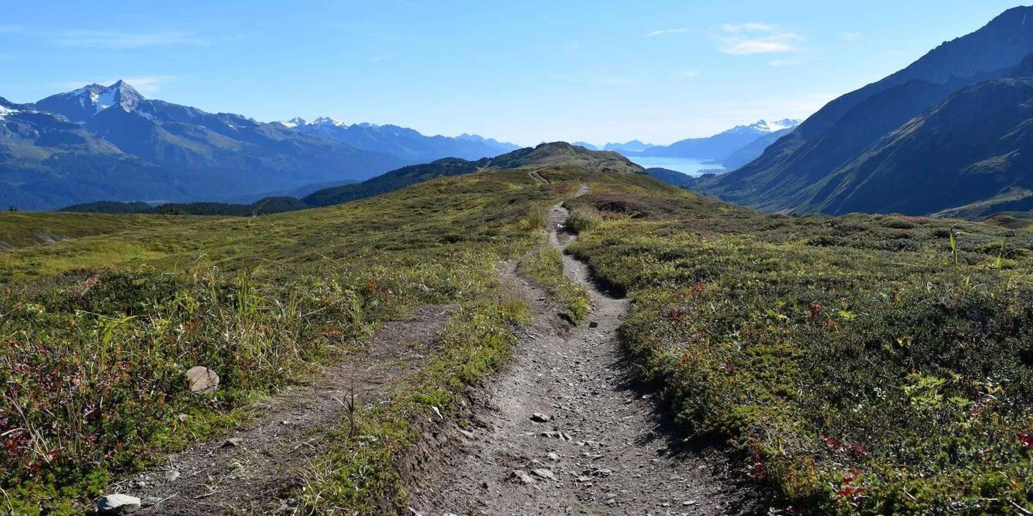 Kenai Fjords Snowmobile and Snowshoe Adventure