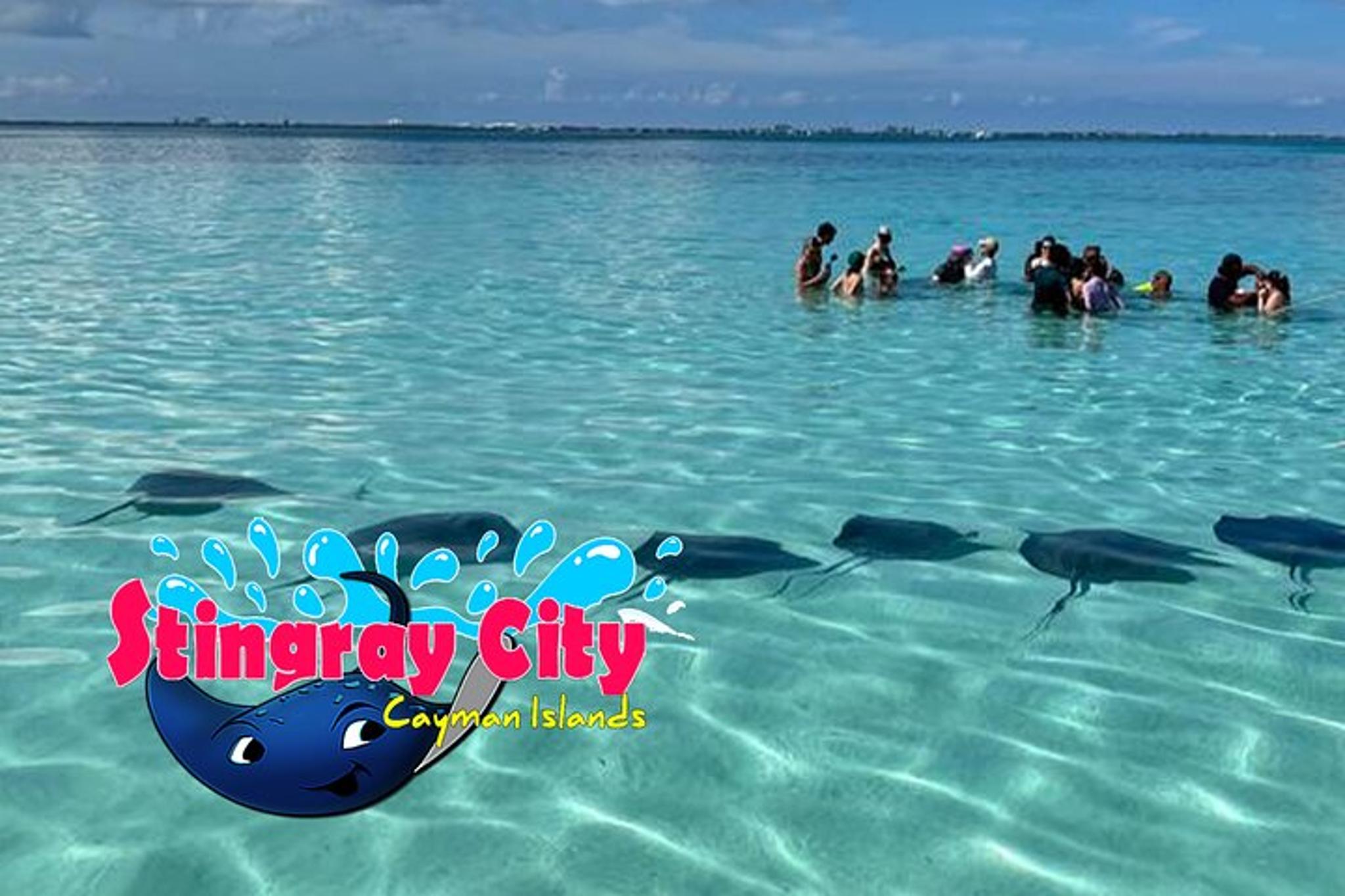 George Town Stingray City and Starfish Snorkeling Tour - Image 5