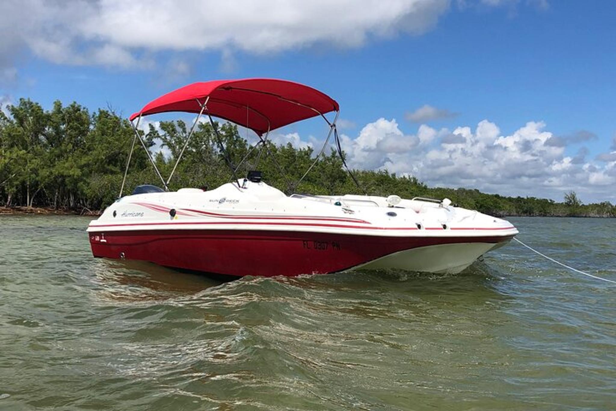 Key Largo Dolphin Tour - Image 6