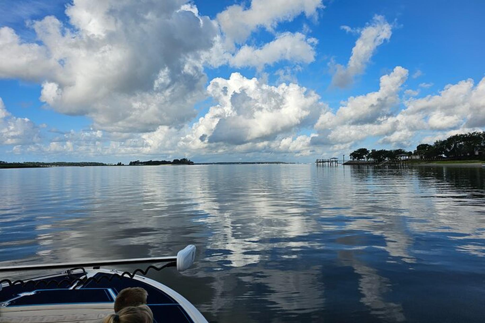 Hilton Head Dolphin and Nature Tour 1 hr - Image 5