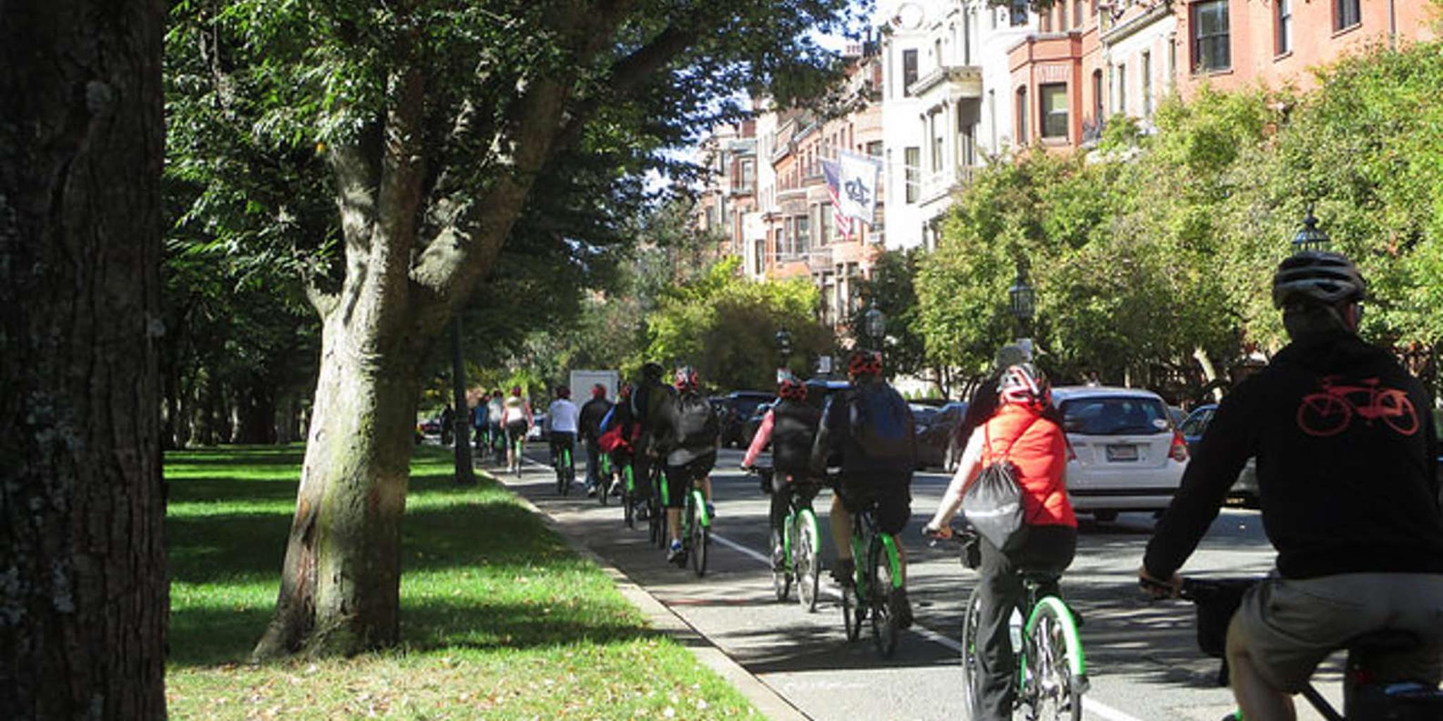 Boston City Bike Rental - Image 3