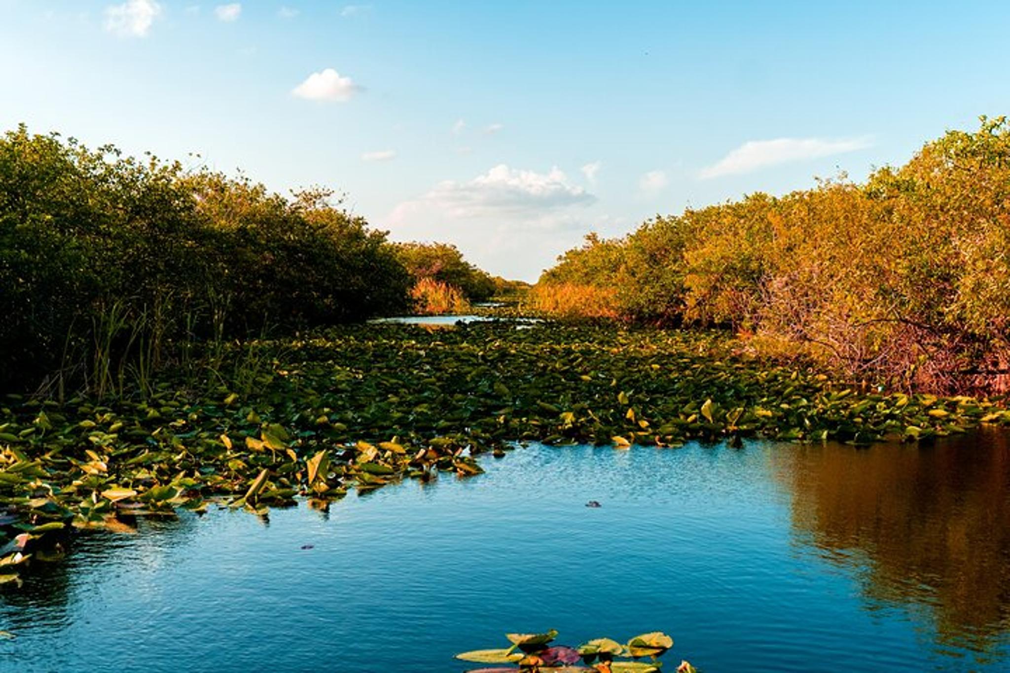 Everglades National Park Self-Guided Audio Tour - Image 4