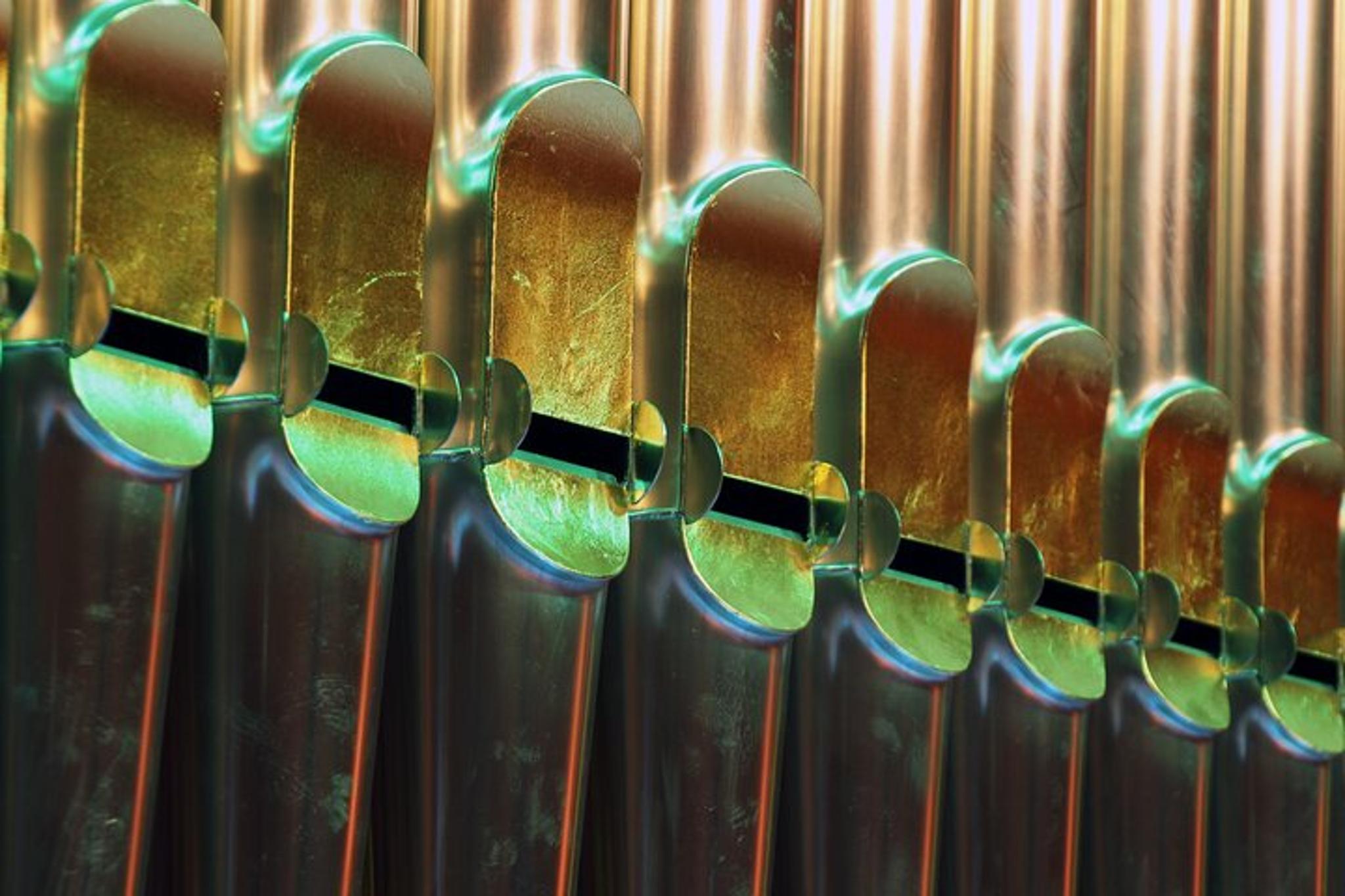 Salt Lake City Organ Recital and City Tour - Image 3