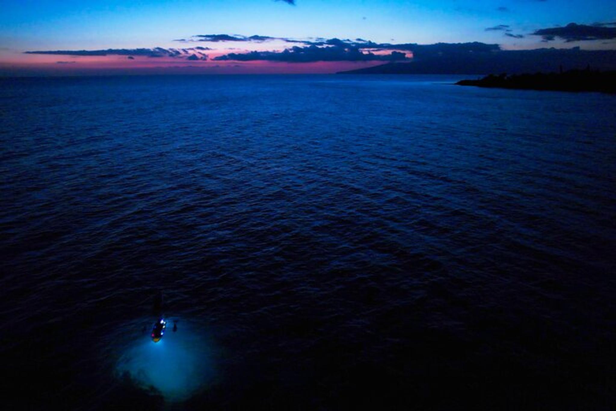 Olowalu Clear Kayak Tour at Sunset - Image 4