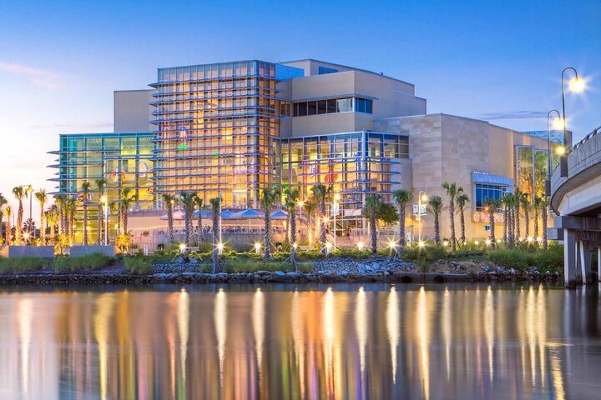 Tampa City Private Transfer to Airport - Image 4