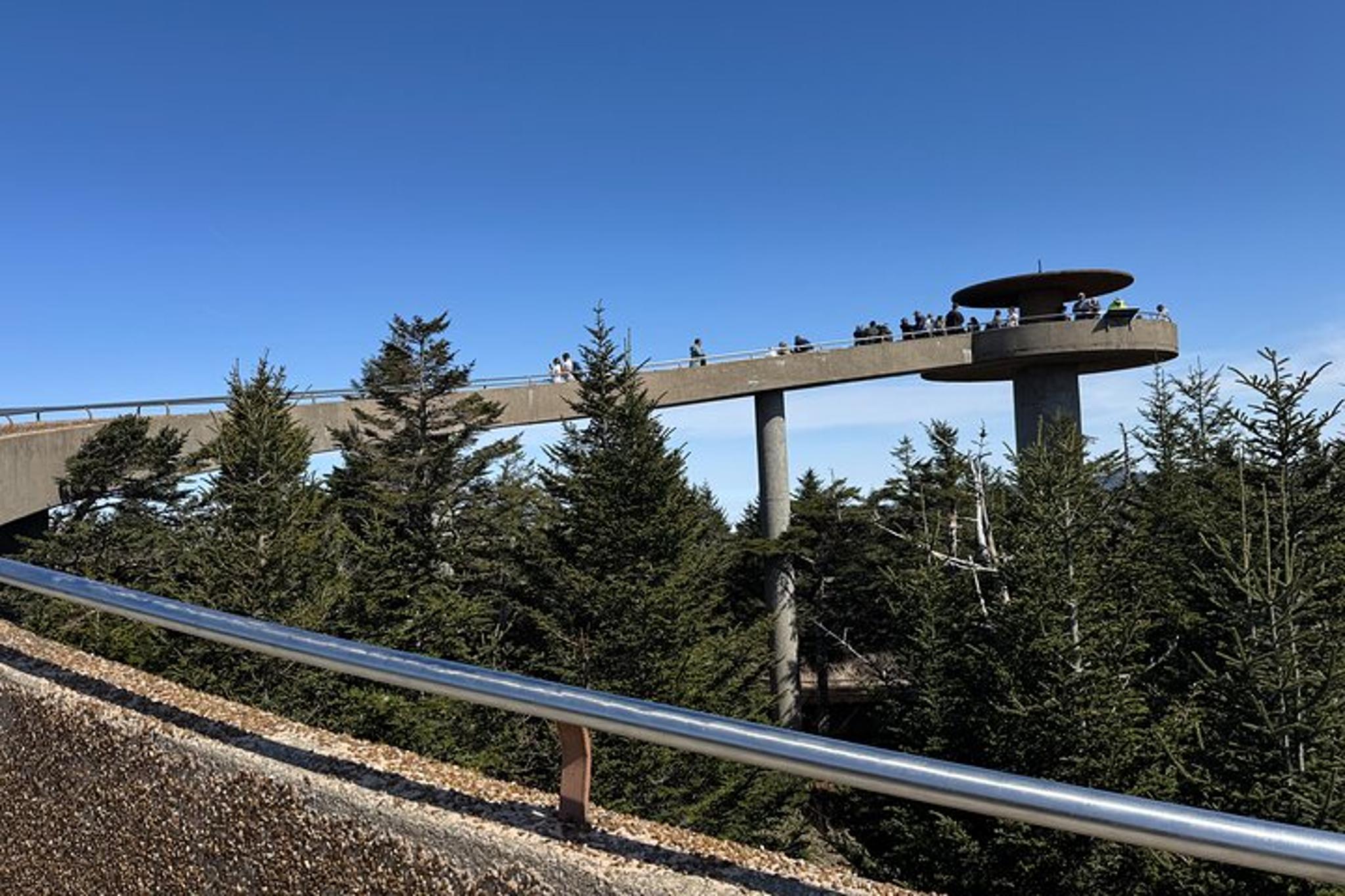 Asheville Kuwohi Mountain Tour 7 hr - Image 3