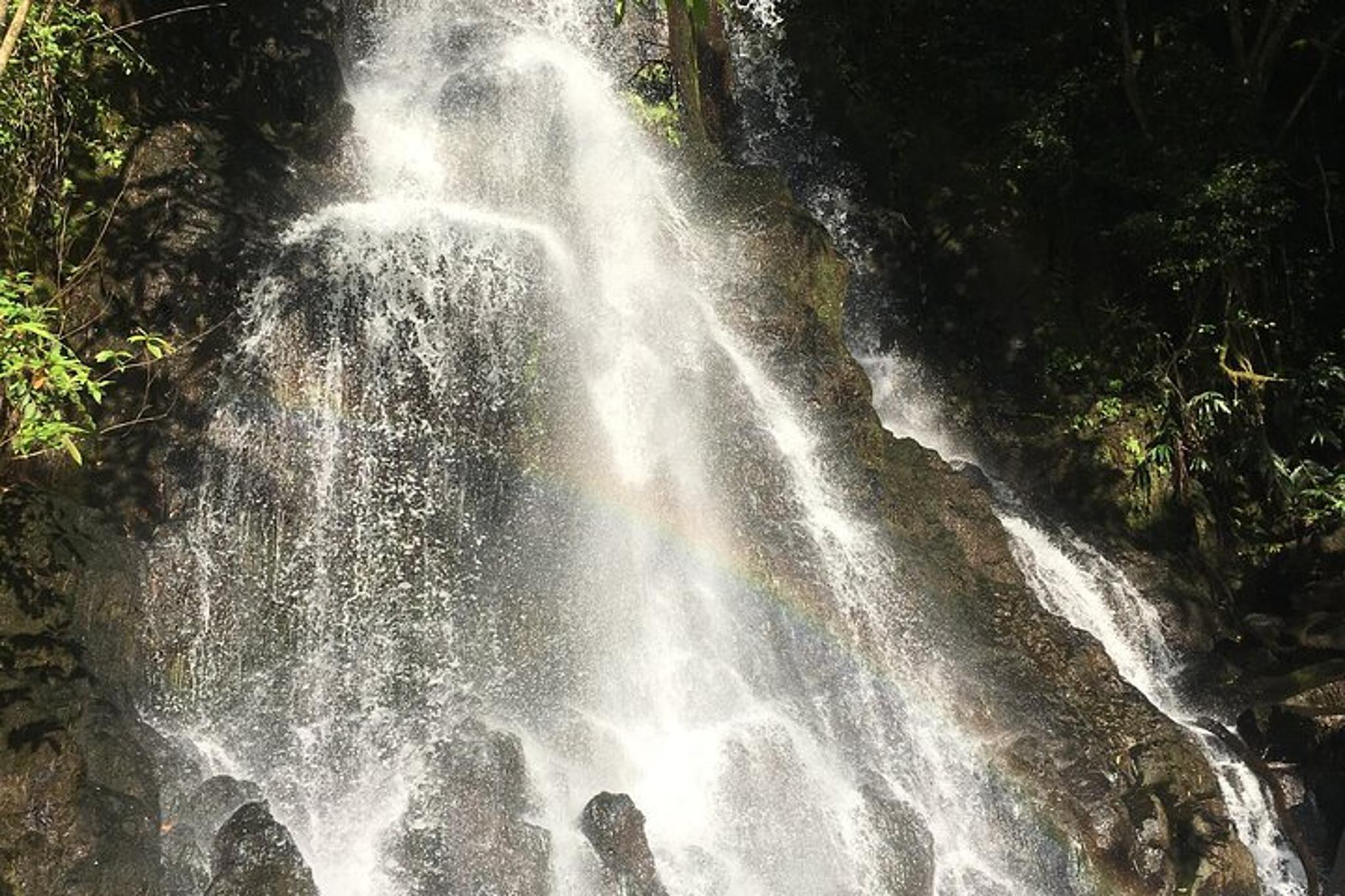 Oahu Hidden Waterfalls and Beaches Tour - Image 6