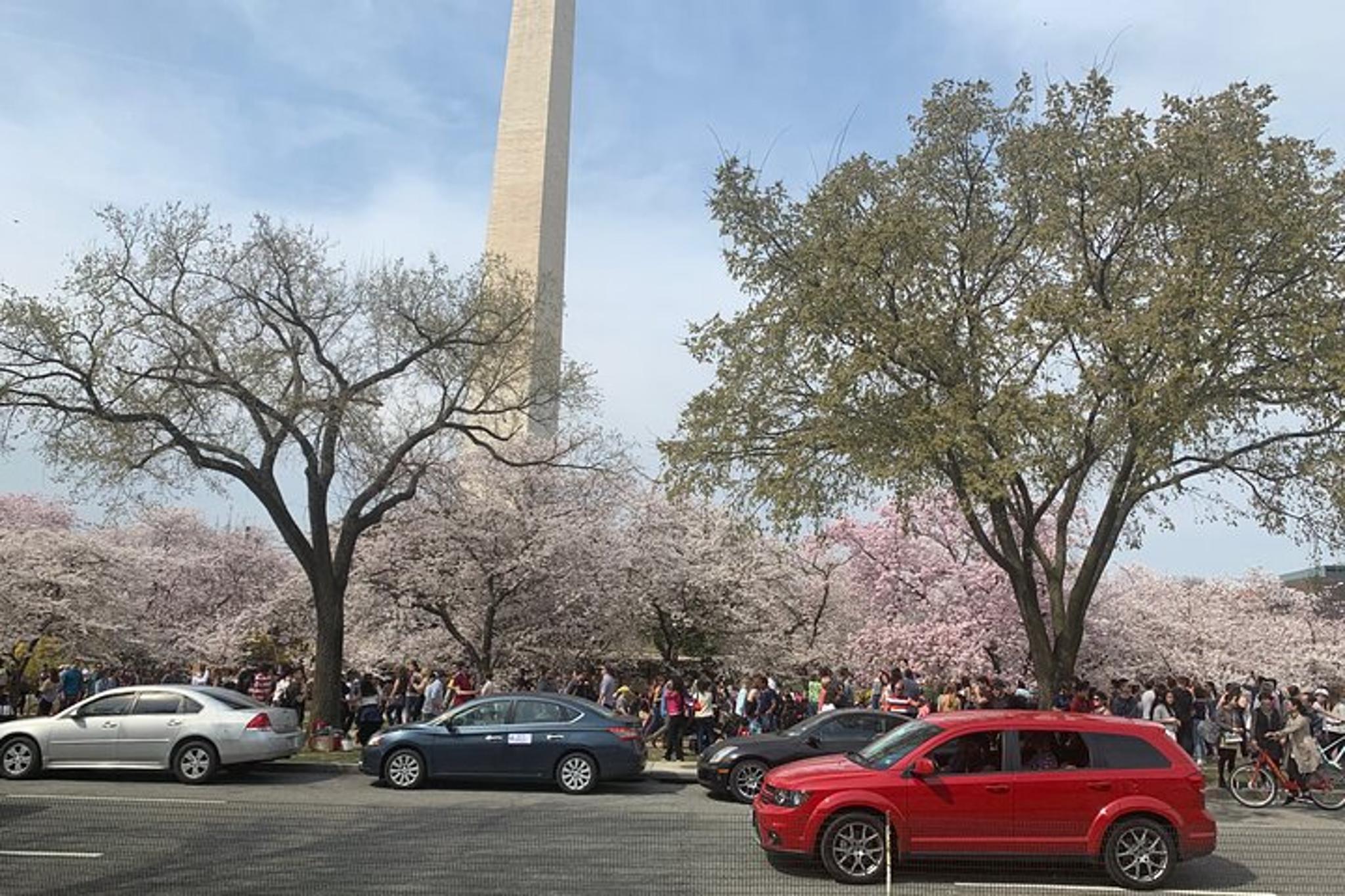 Washington DC Sightseeing Tour Day & Night 7 hr - Image 4