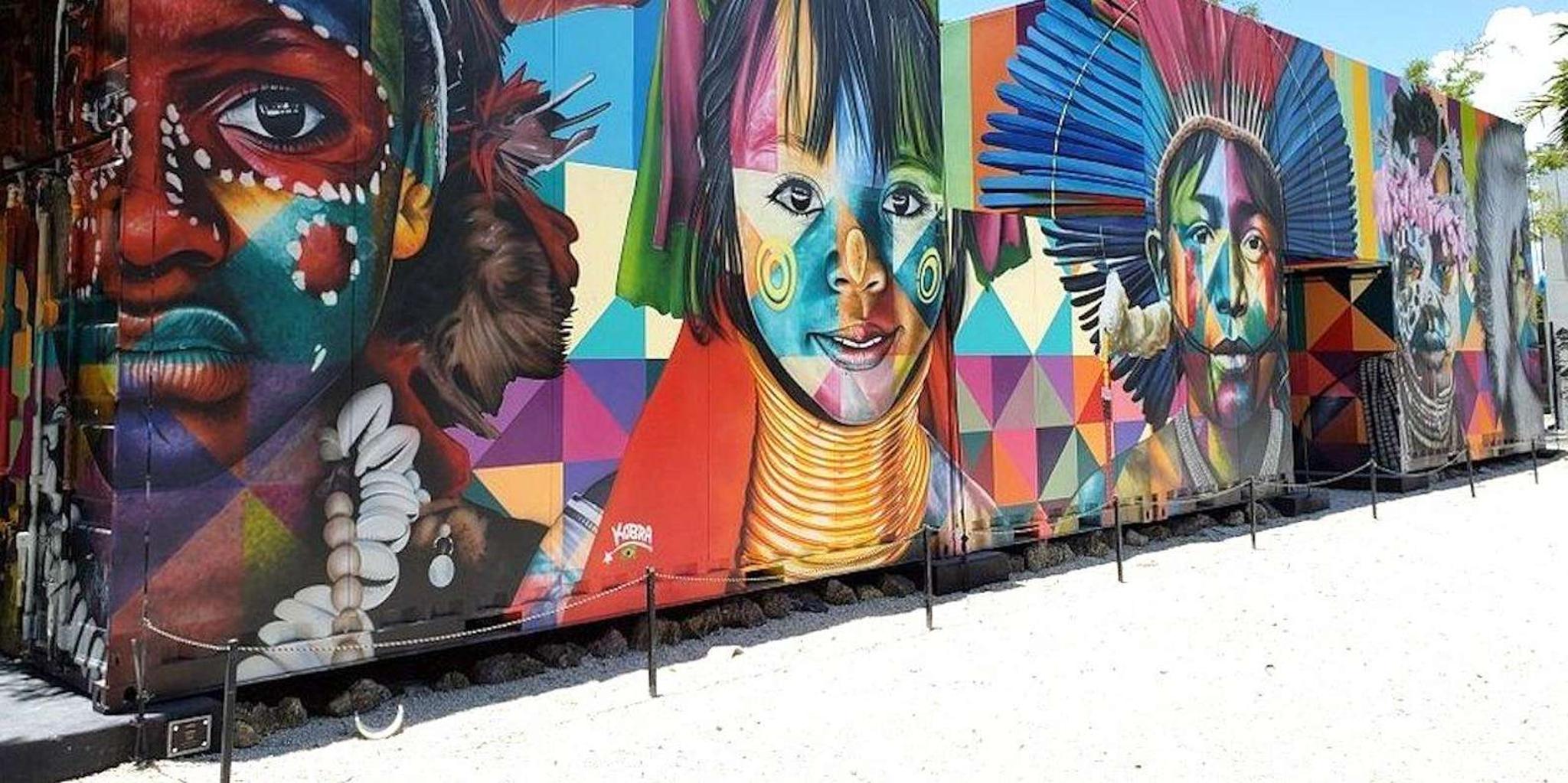 Miami Everglades Airboat Safari Adventure - Image 2