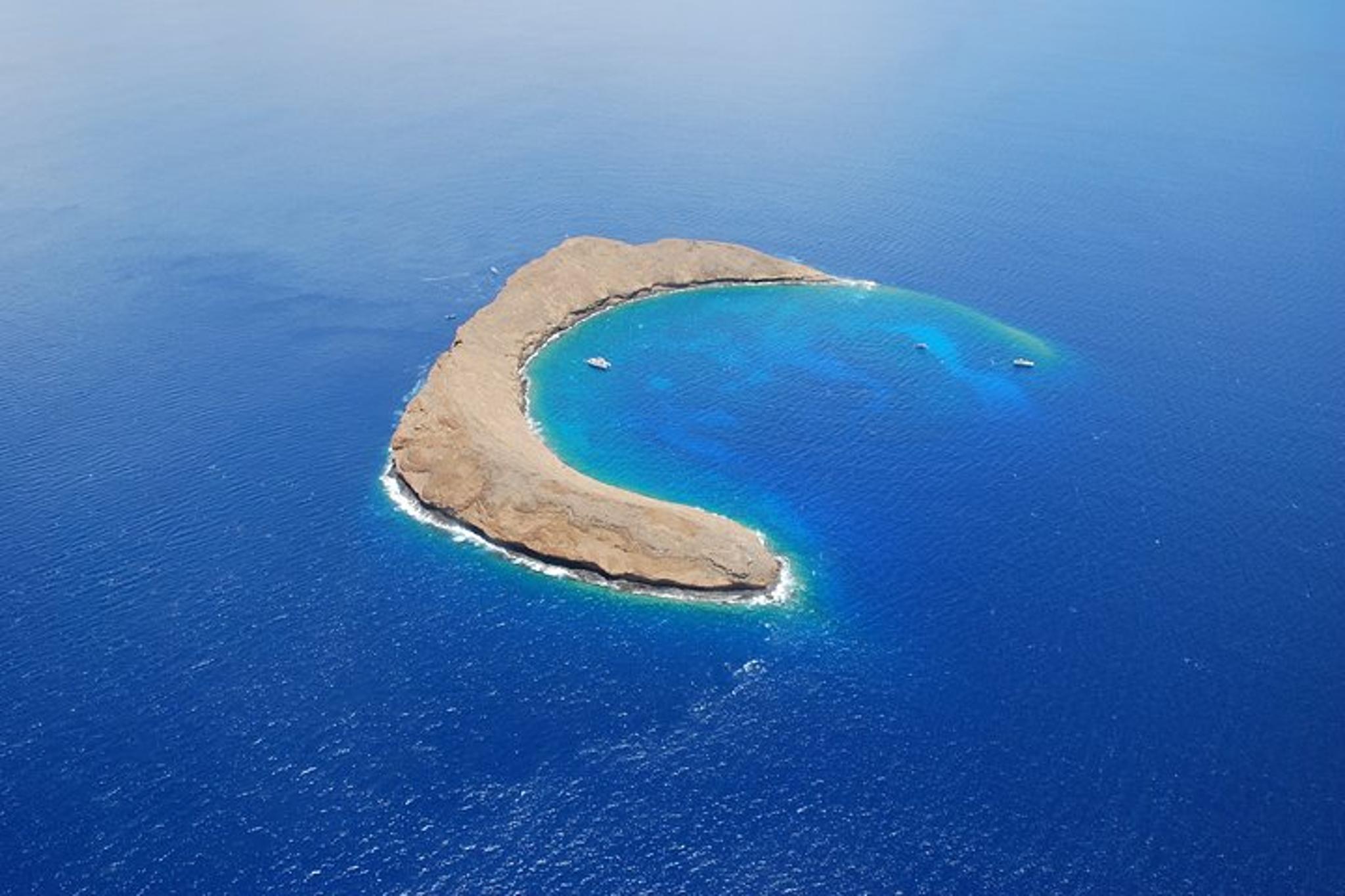 Maui Molokini & Turtle Town Snorkel Adventure