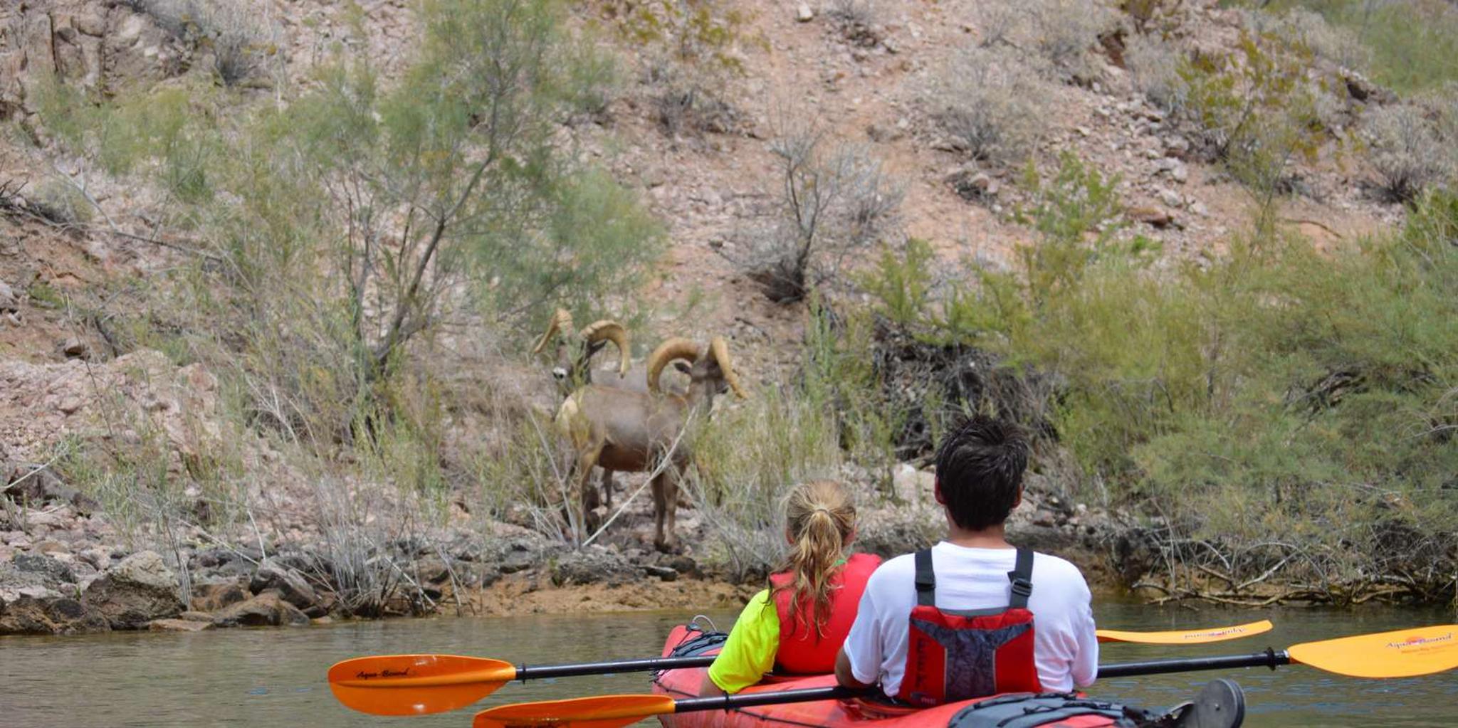 Las Vegas Emerald Cave Kayak Tour 4 hr - Image 4