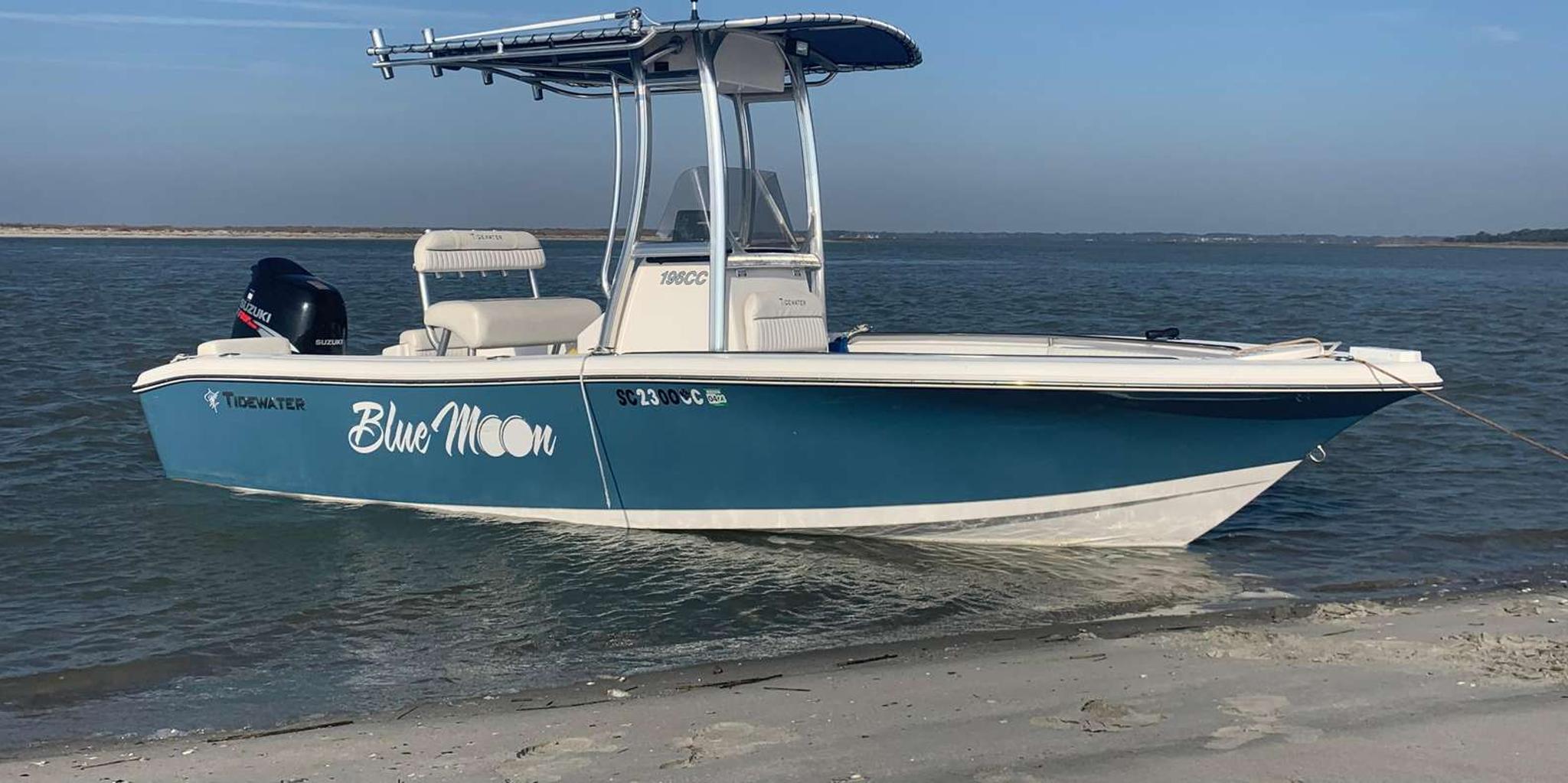 Folly Beach Dolphin and Morris Island Cruise 2 hr - Image 4