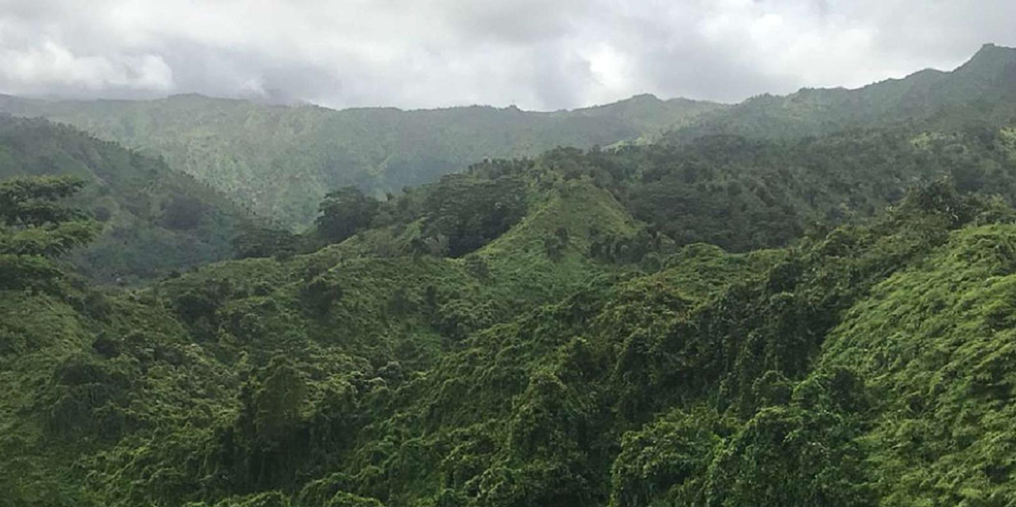 Kauai Hiking Adventure with Private Guide 6 hr - Image 2