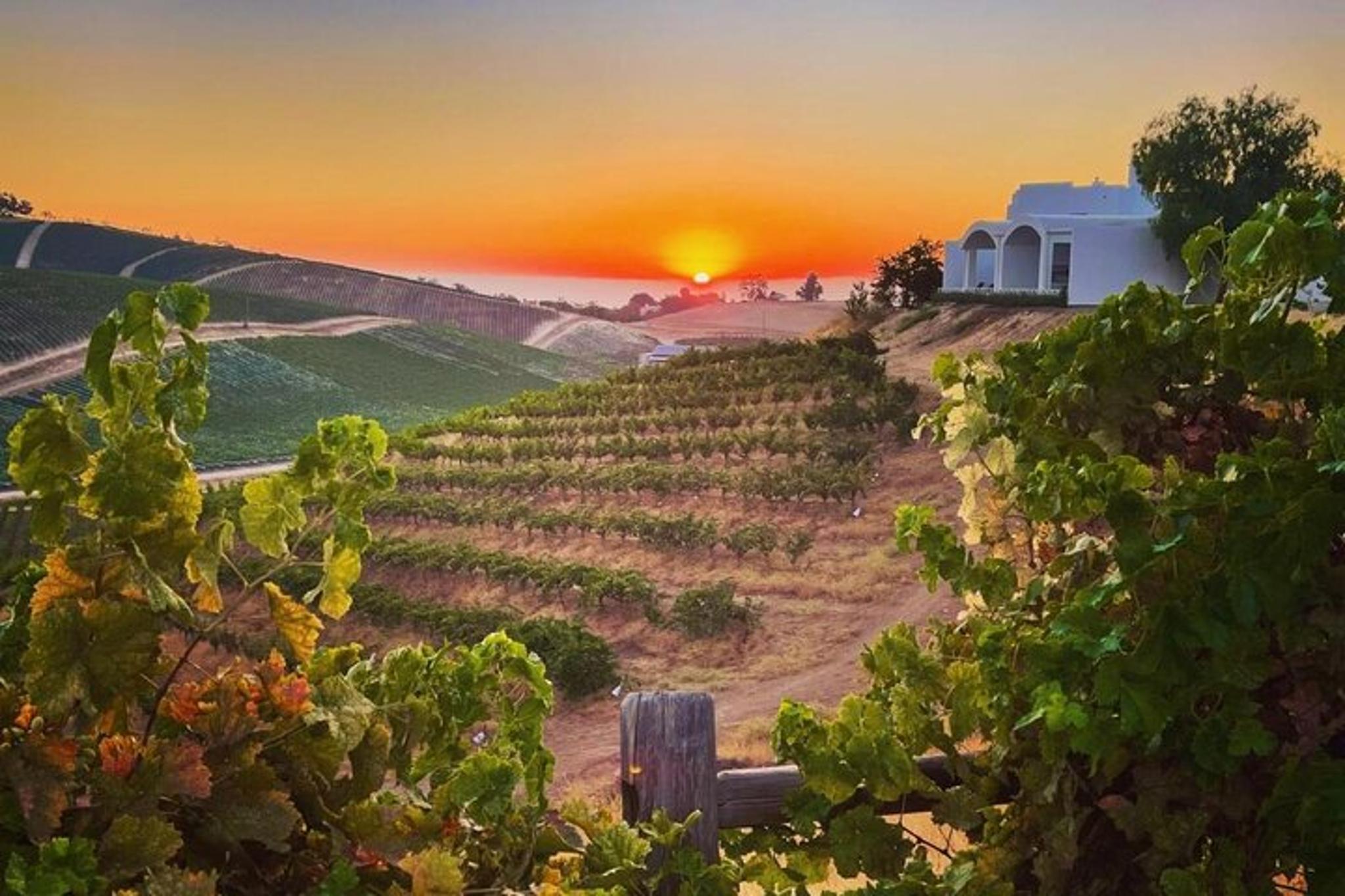 Paso Robles Wine Tour Self-Guided Audio Experience - Image 3
