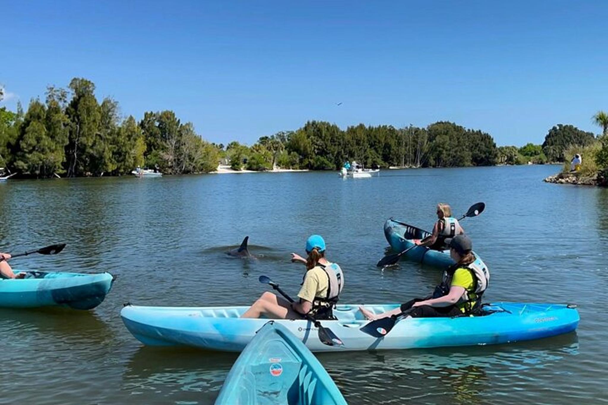 Florida Dolphin and Manatee Kayak Tour at Sunset 2 hr - Image 2